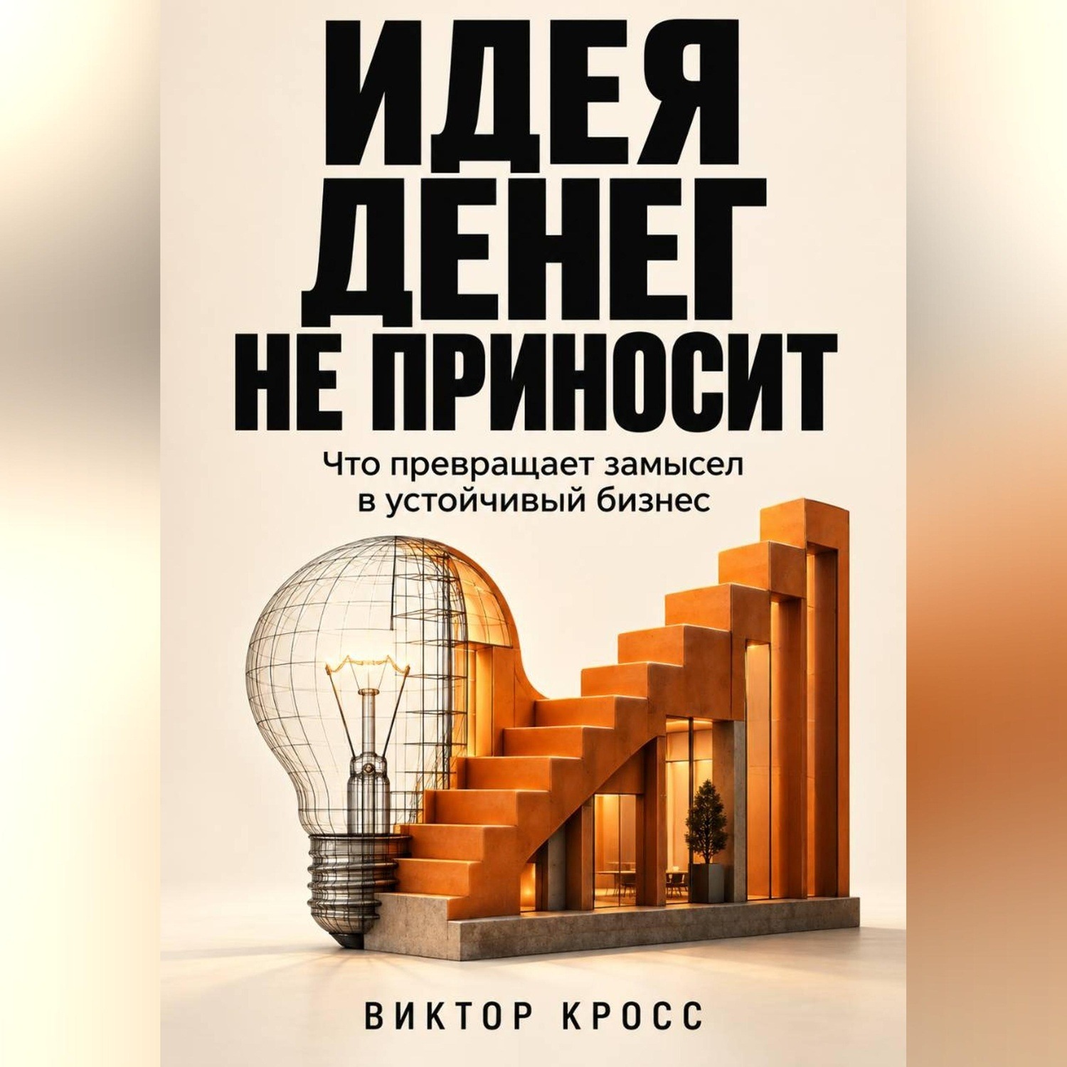 Обложка книги «Идея денег не приносит. Что превращает замысел в устойчивый бизнес»