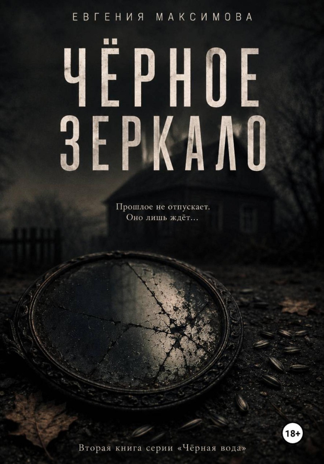 Обложка книги «Чёрное зеркало»