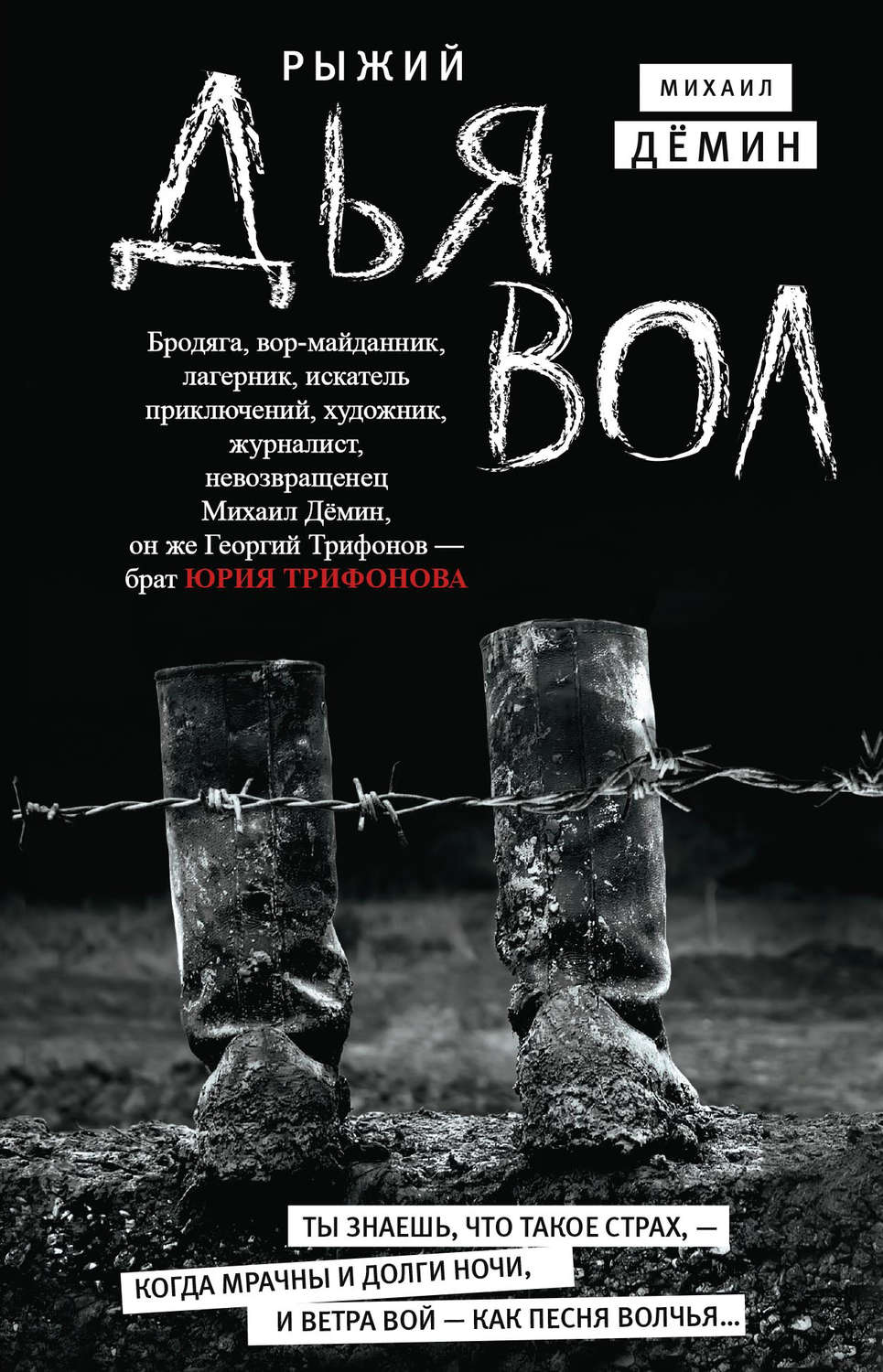 Обложка книги «Рыжий дьявол»