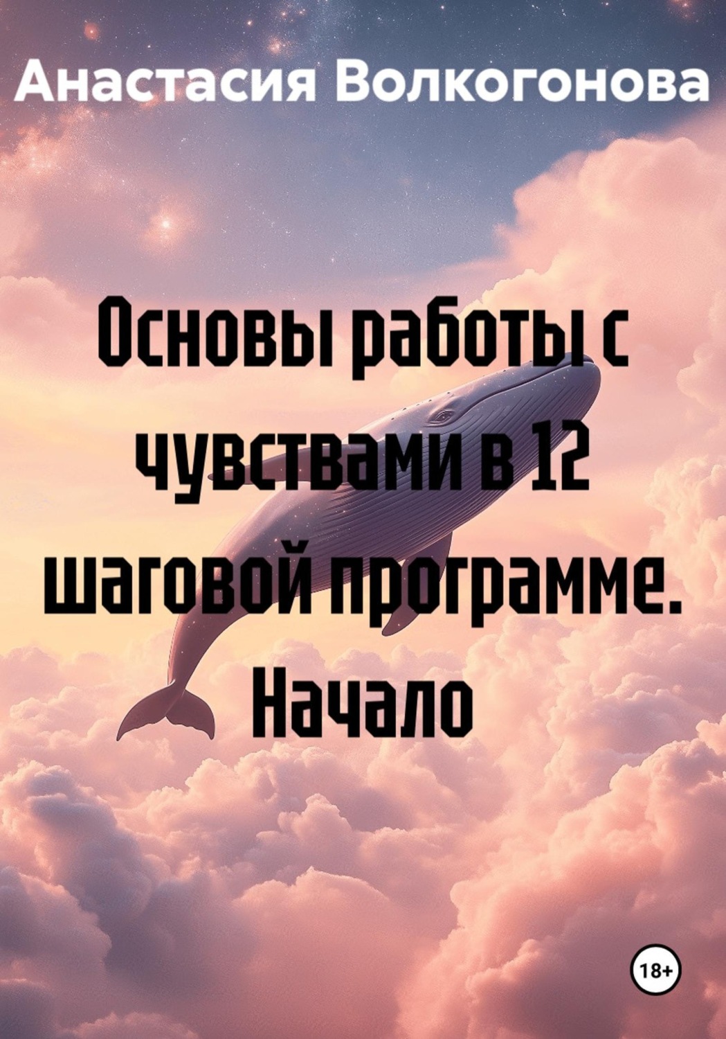 Обложка книги «Основы работы с чувствами в 12 шаговой программе. Начало»