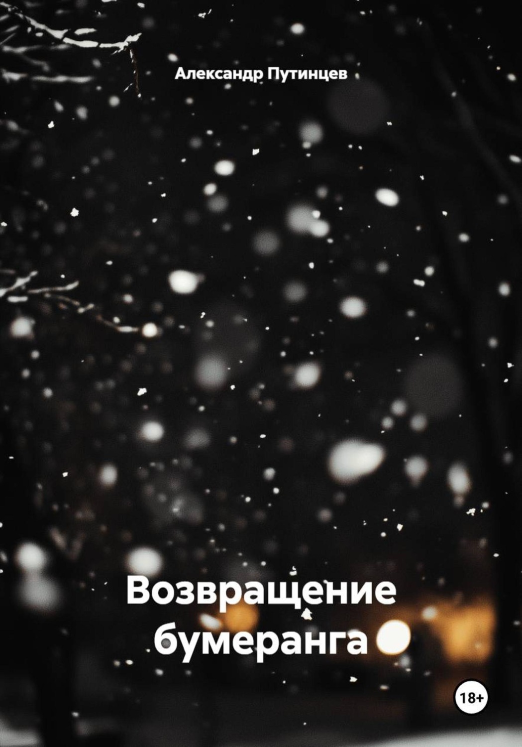 Обложка книги «Возвращение бумеранга»