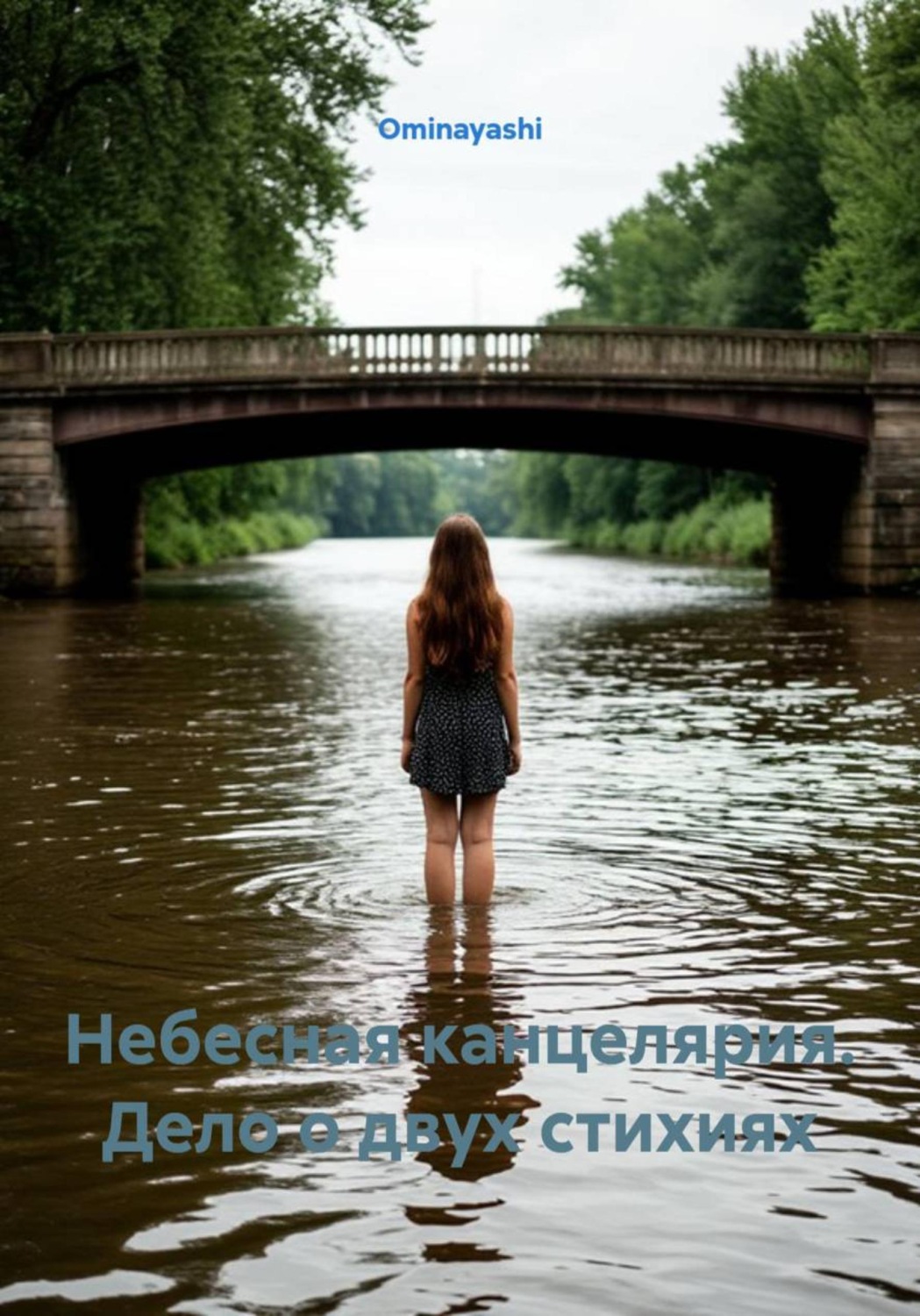 Обложка книги «Небесная канцелярия. Дело о двух стихиях»