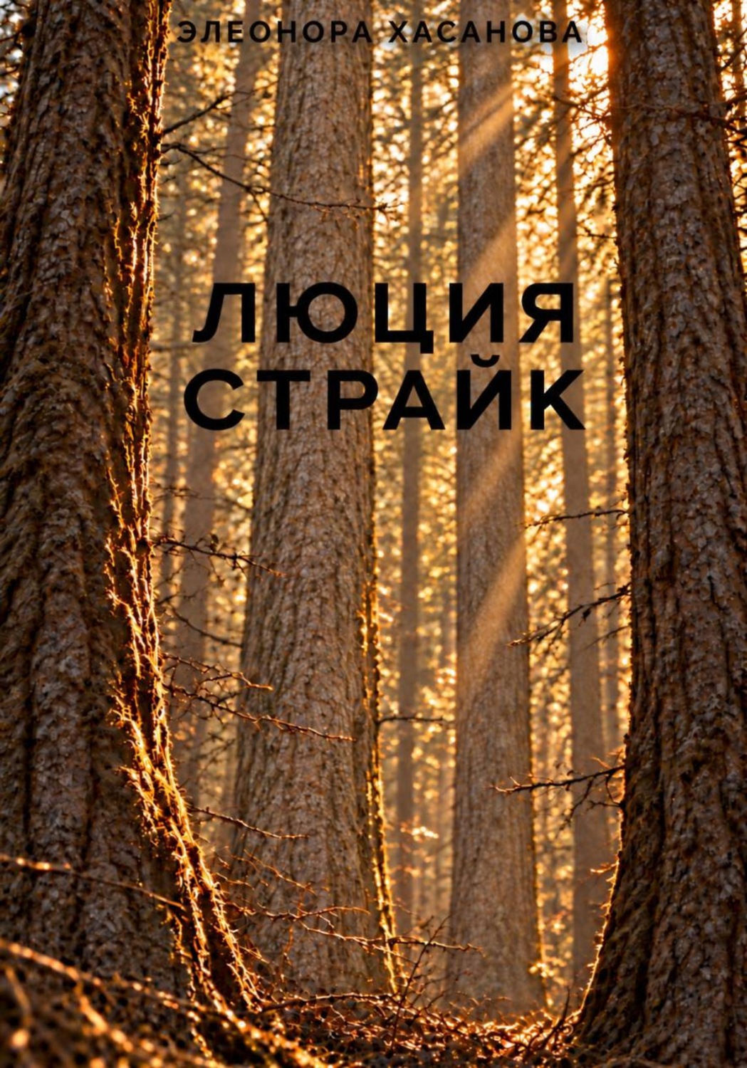 Обложка книги «Люция Страйк»