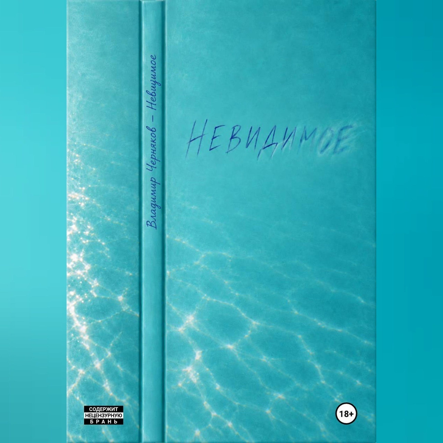Обложка книги «Невидимое»