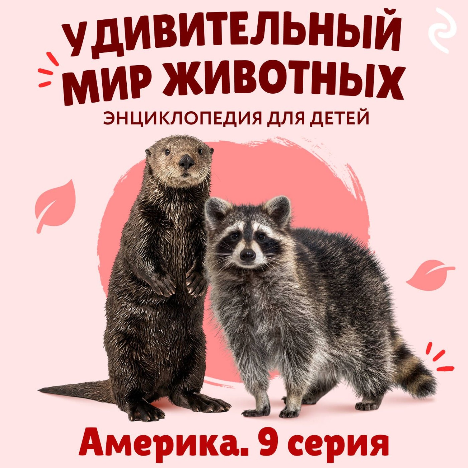 Обложка: Удивительный мир животных. Америка. Серия 9