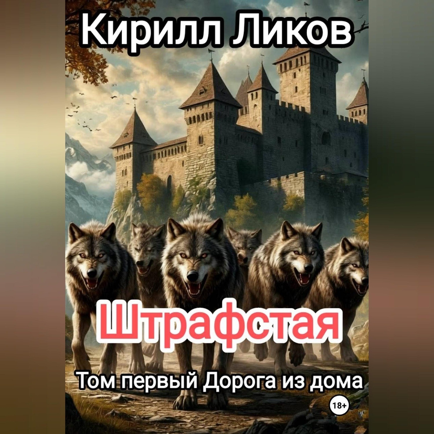 Обложка книги «Штрафстая Том первый: Дорога из дома»