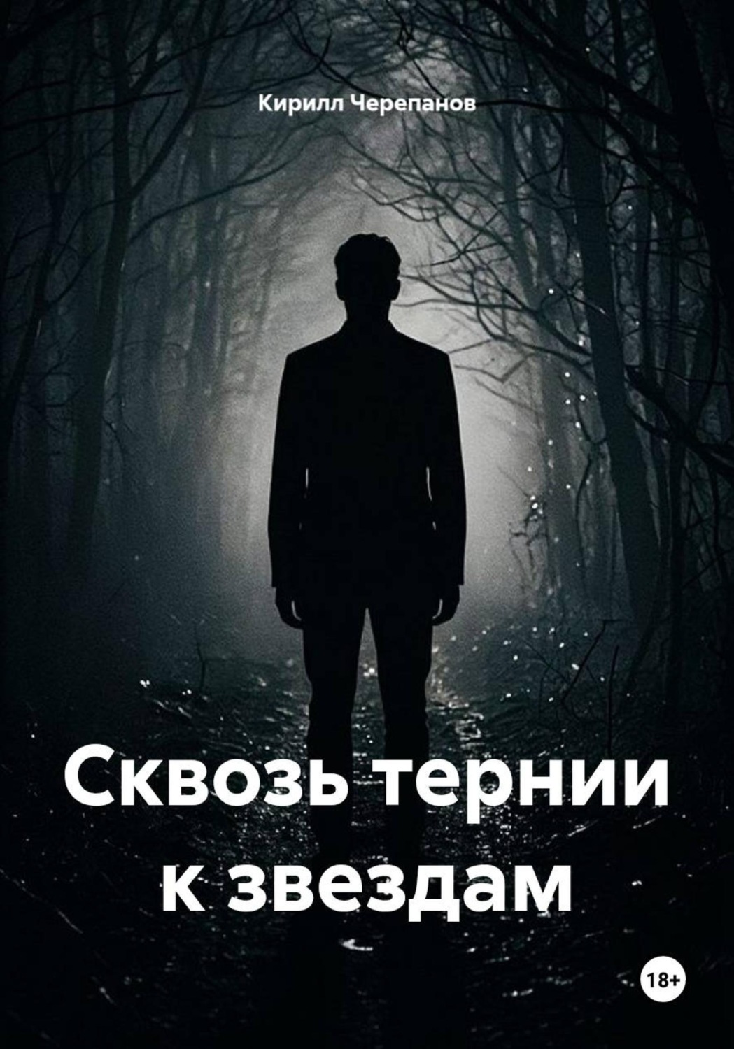 Обложка книги «Сквозь тернии к звездам»