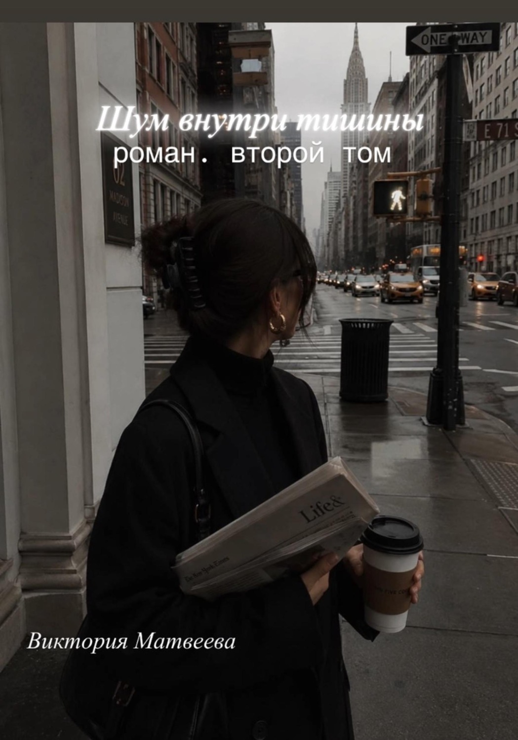 Обложка книги «Шум внутри тишины»