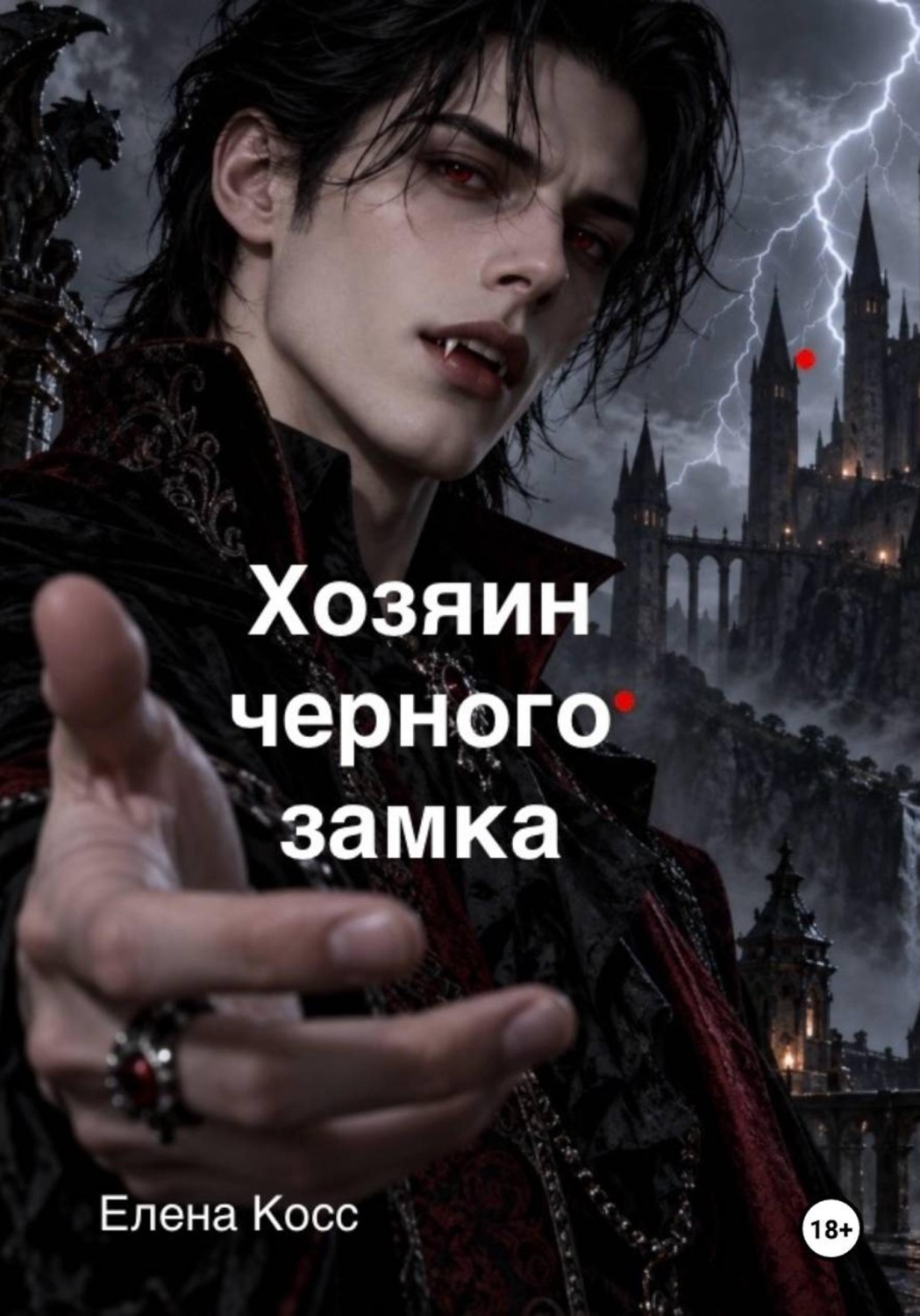 Обложка книги «Хозяин черного замка»