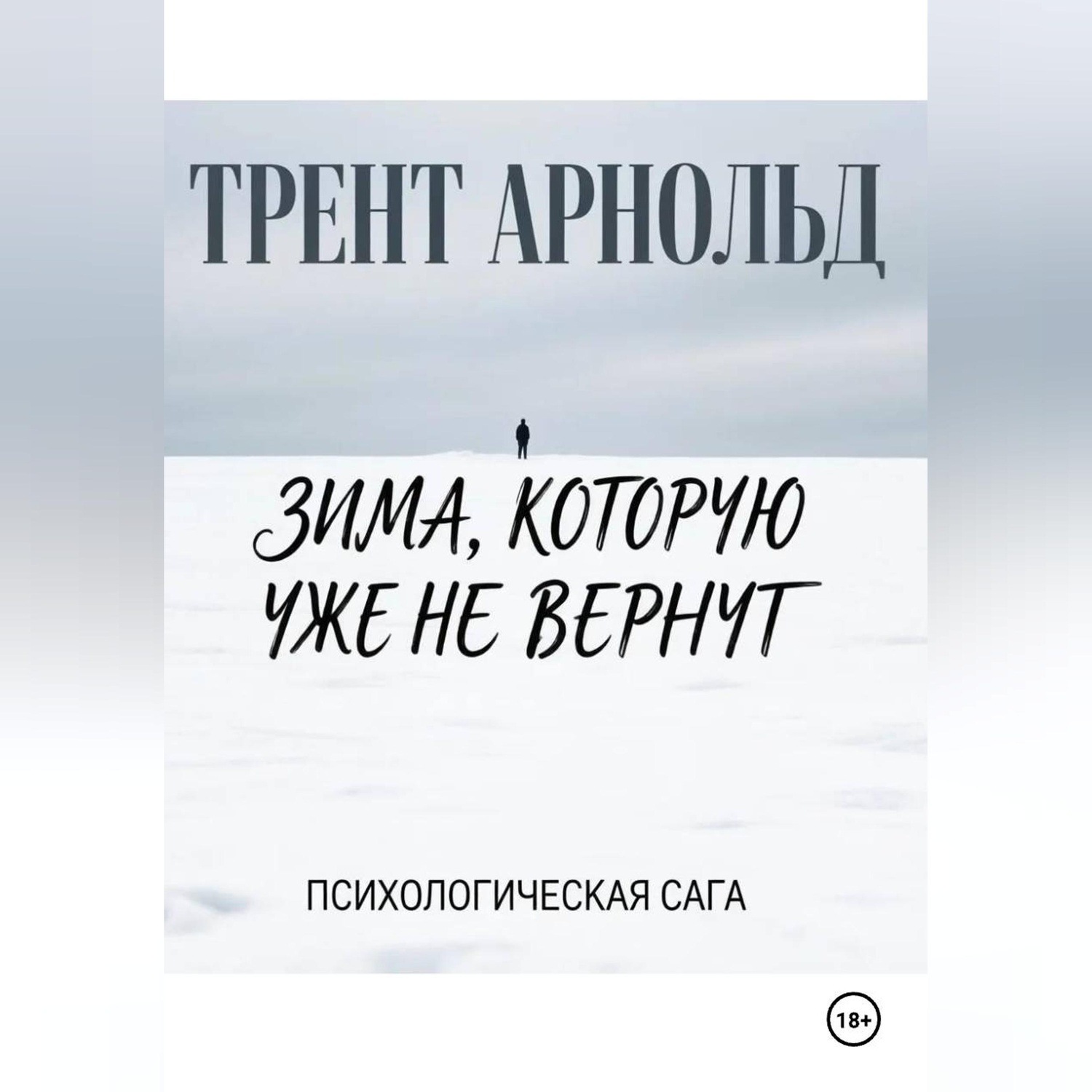 Обложка книги «Зима, которую уже не вернут»