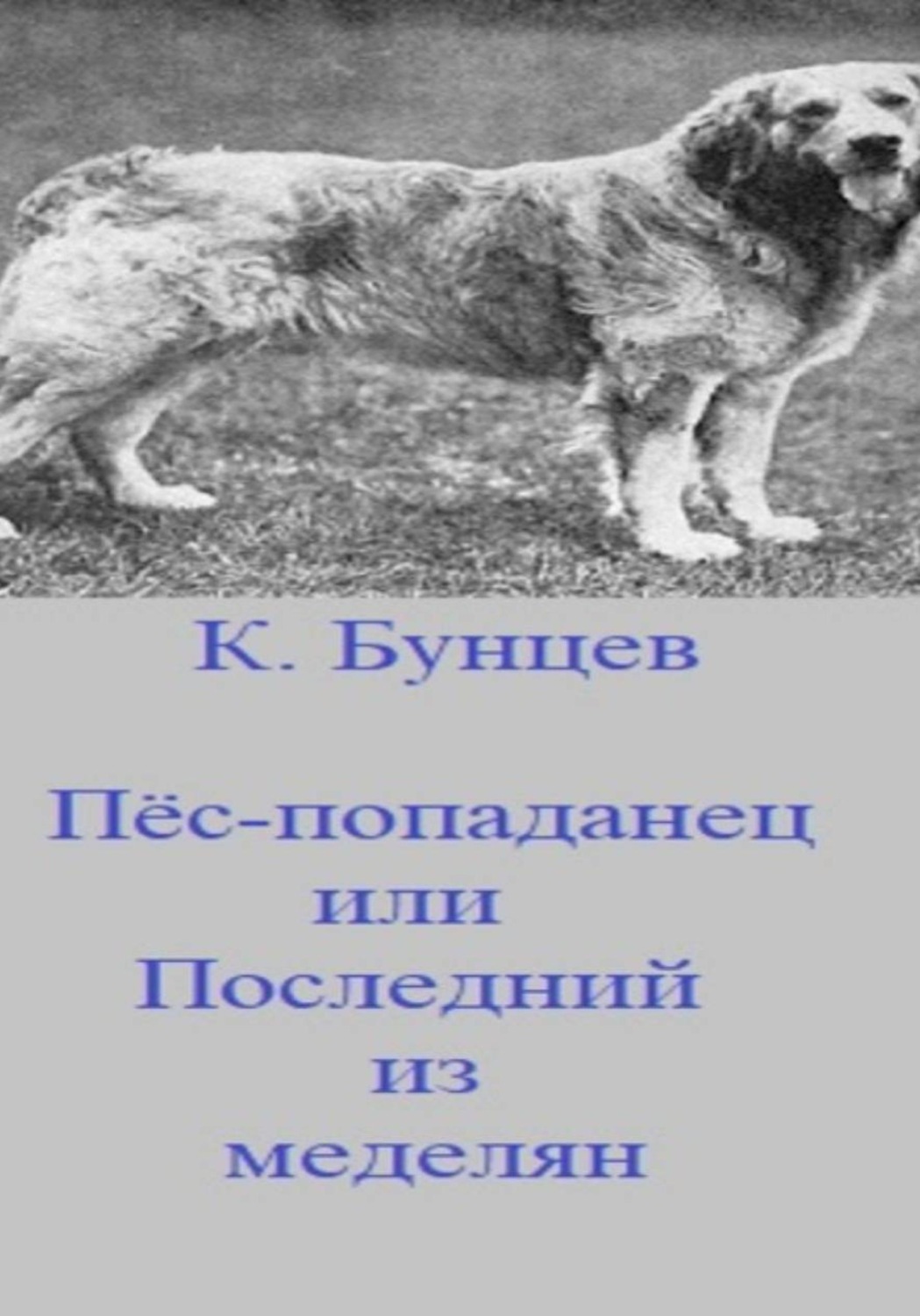 Обложка книги «Пёс-попаданец, или Последний из меделянок»