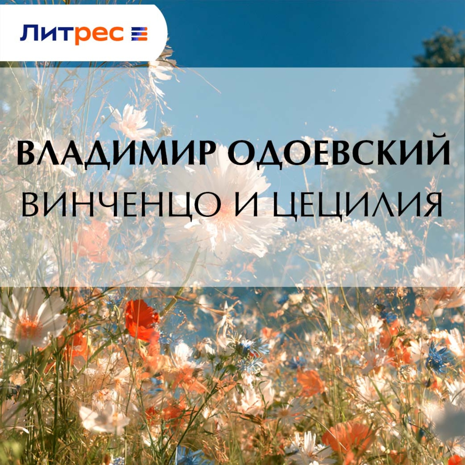 Обложка книги «Винченцо и Цецилия»