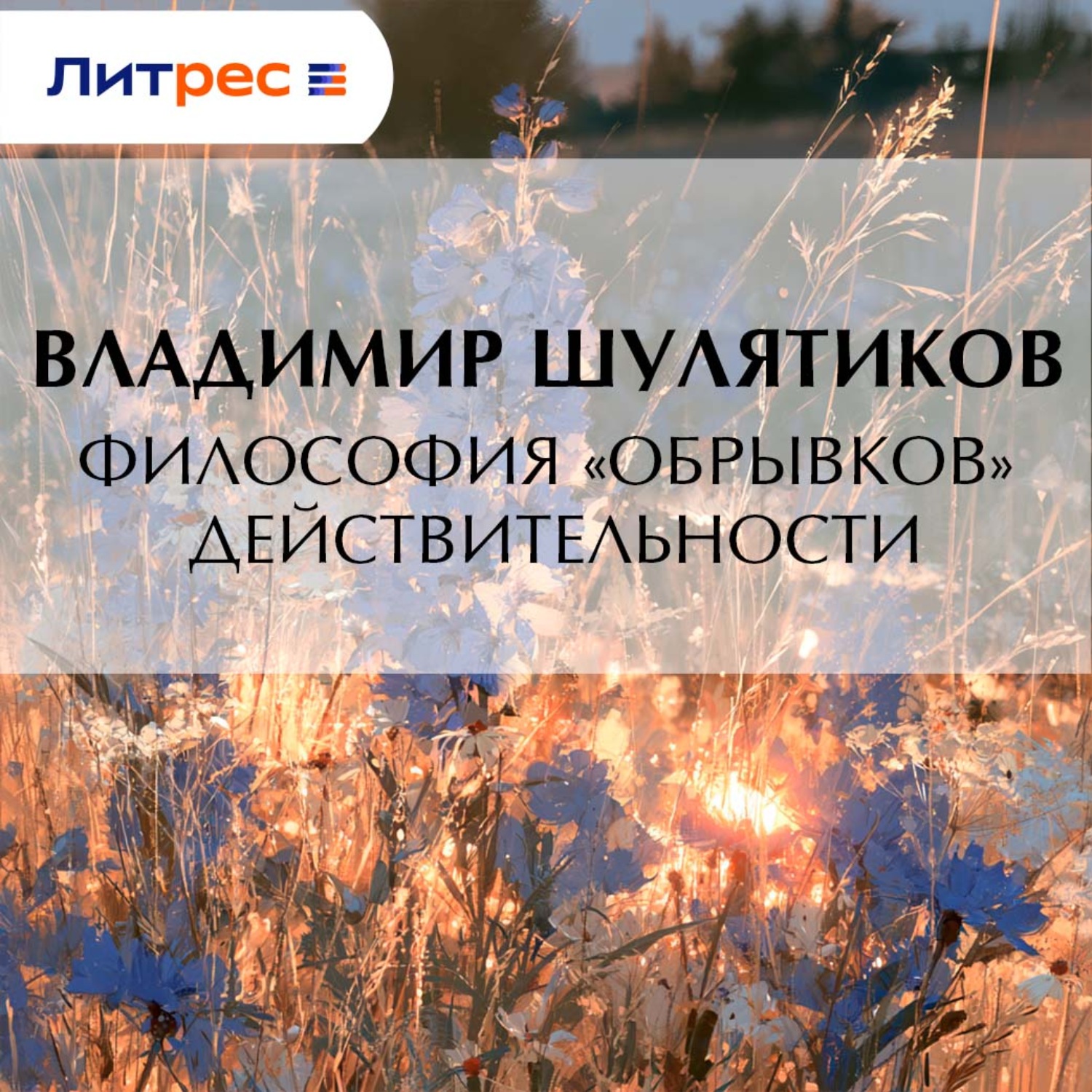 Обложка книги «Философия «обрывков» действительности»