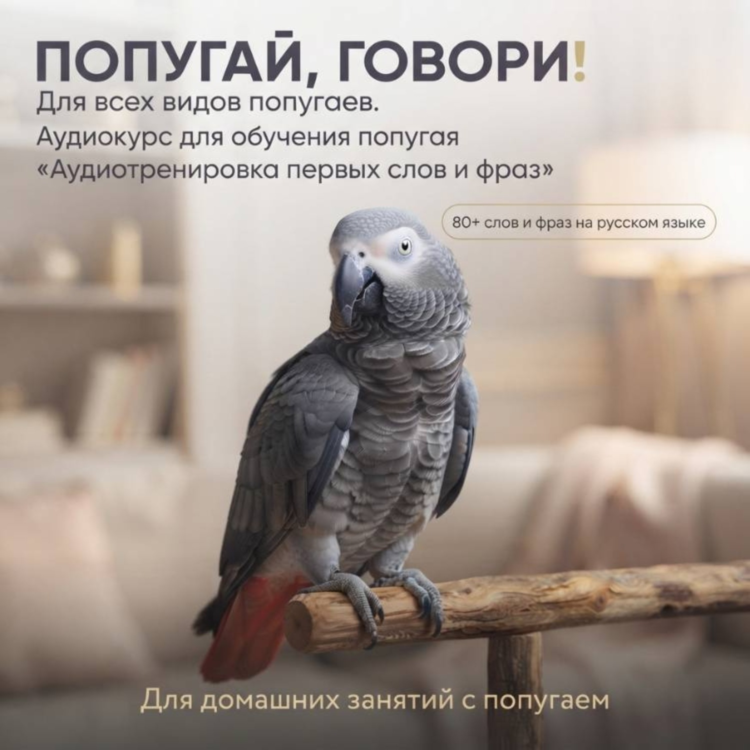Обложка книги «Аудиокурс для обучения попугая»