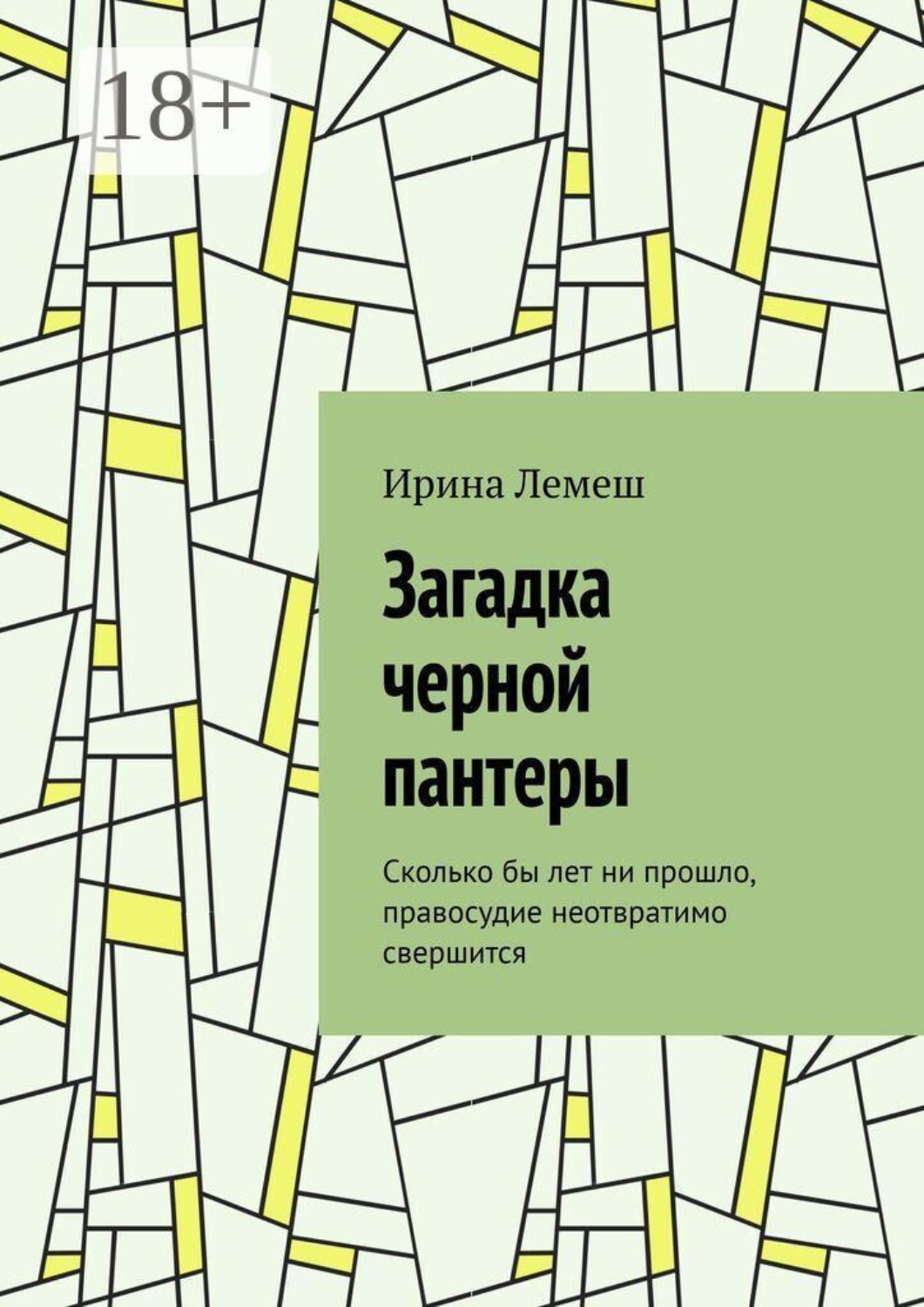 Обложка книги «Загадка черной пантеры. Сколько бы лет ни прошло, правосудие неотвратимо свершится»