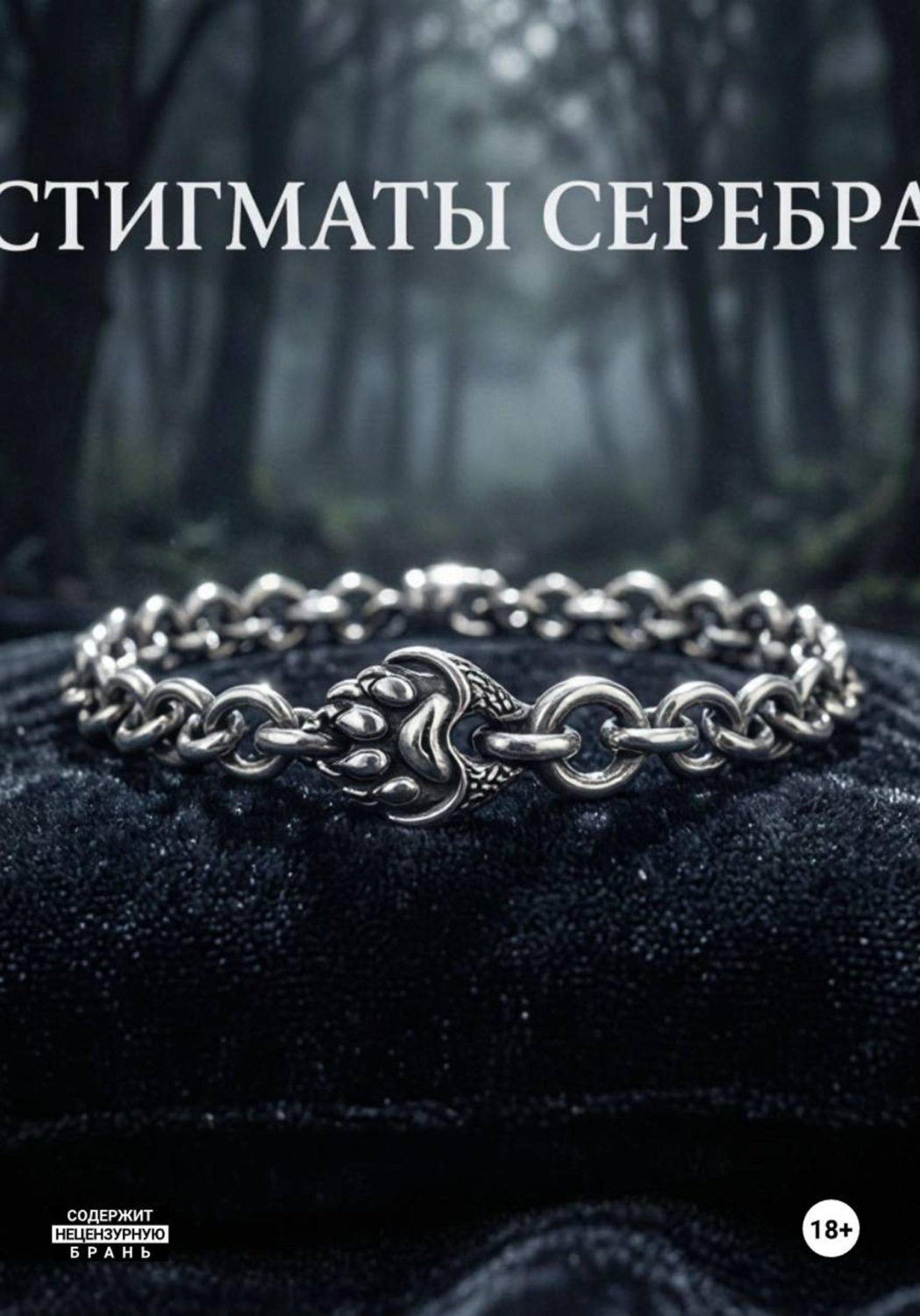 Обложка книги «Стигматы серебра»