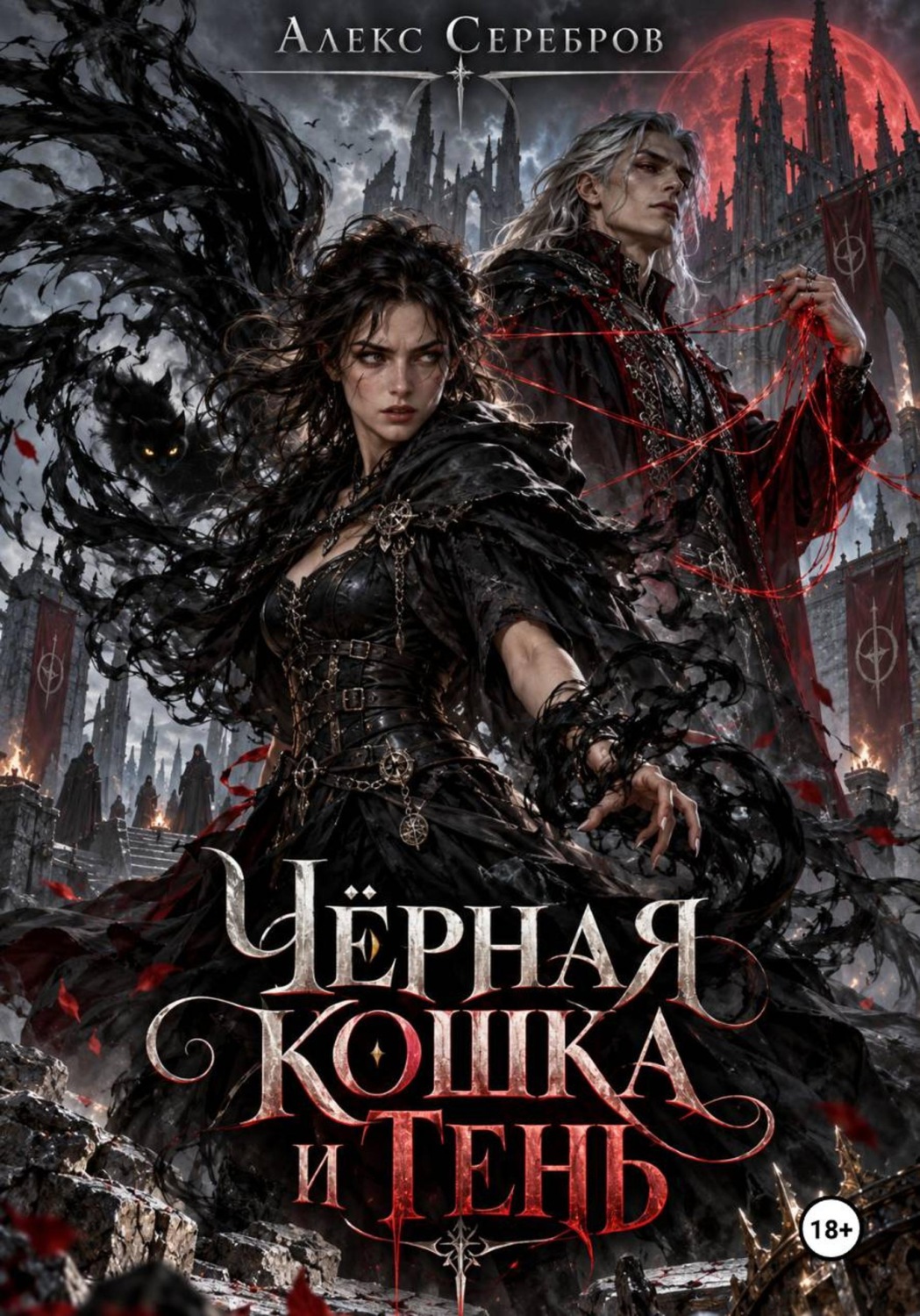 Обложка книги «Чёрная кошка и тень»