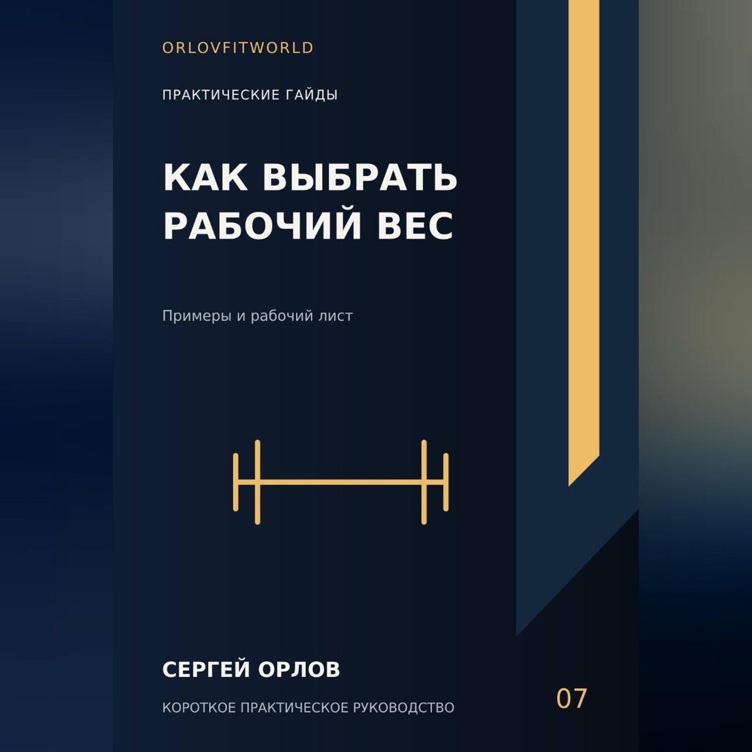 Обложка книги «Как выбрать рабочий вес»