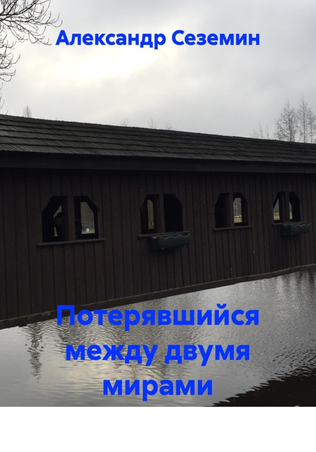 Обложка книги «Потерявшийся между двумя мирами»