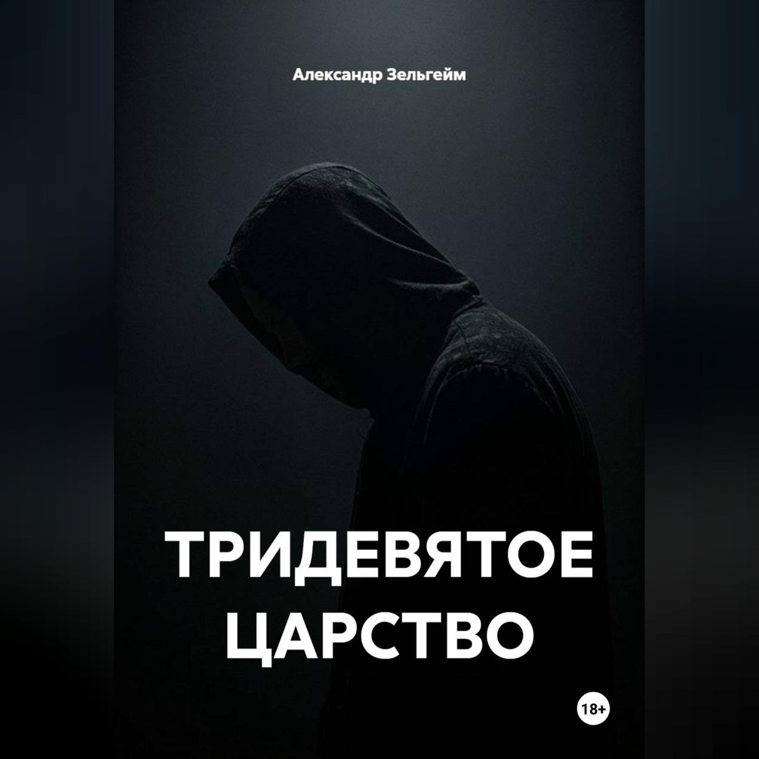 Обложка книги «ТРИДЕВЯТОЕ ЦАРСТВО»
