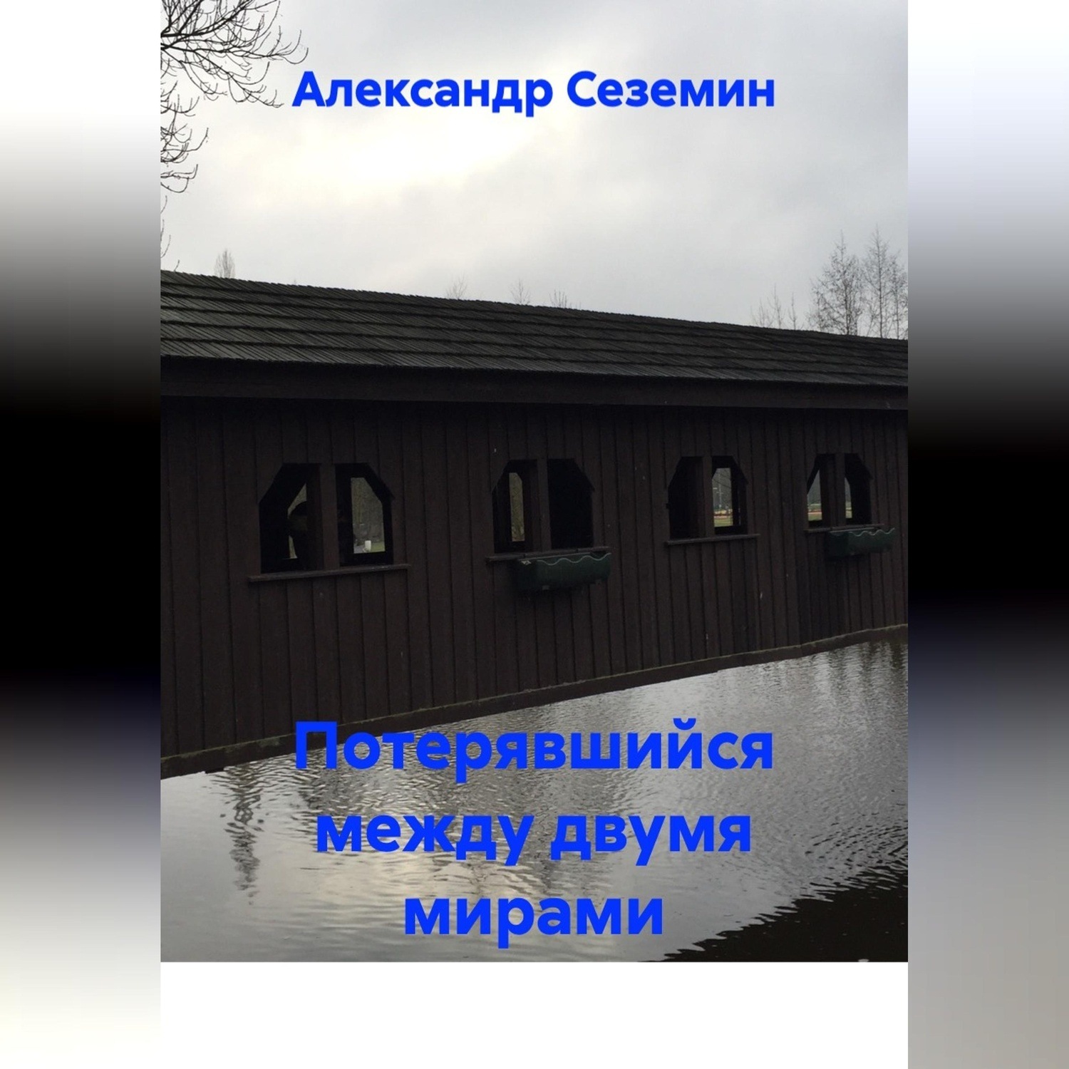 Обложка книги «Потерявшийся между двумя мирами»