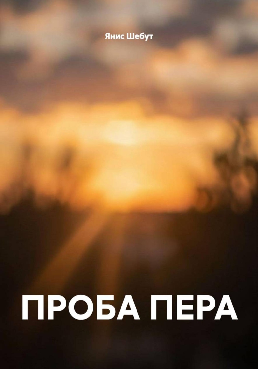Обложка книги «ПРОБА ПЕРА»