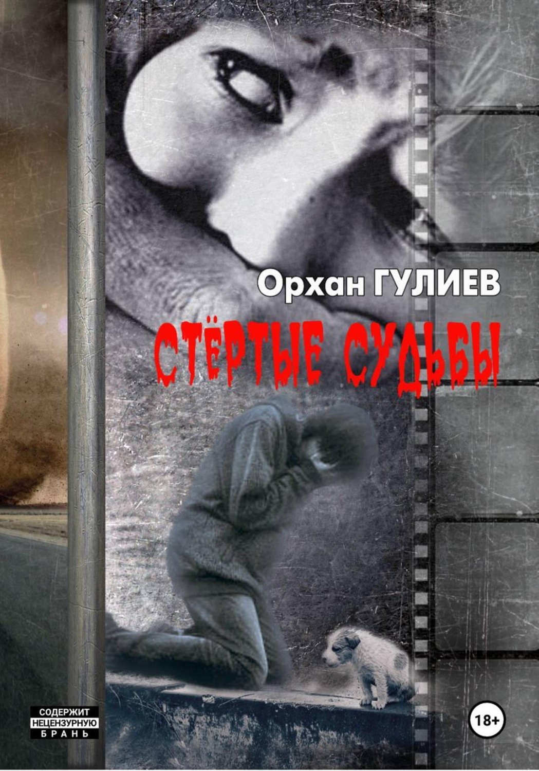 Обложка книги «Стёртые судьбы»