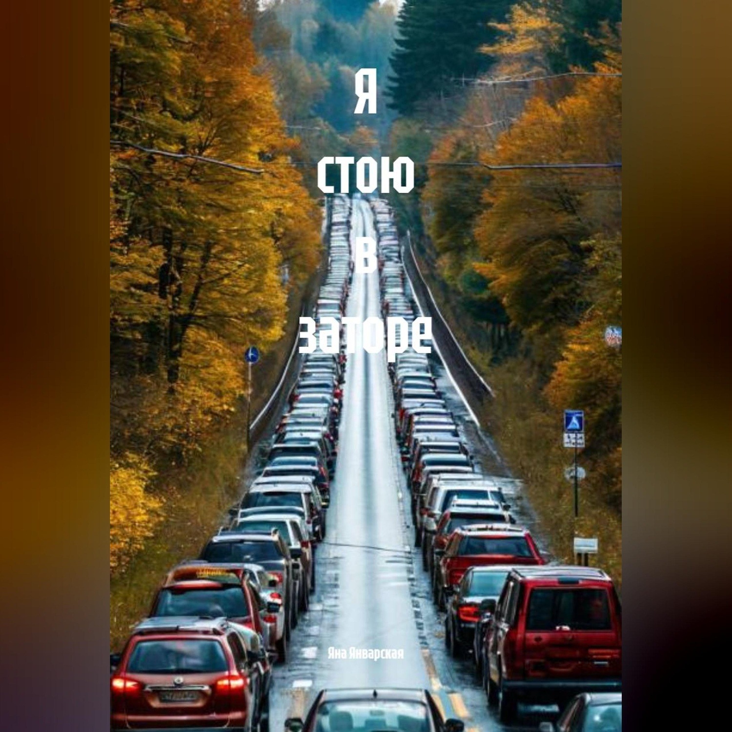 Обложка книги «Я стою в заторе»