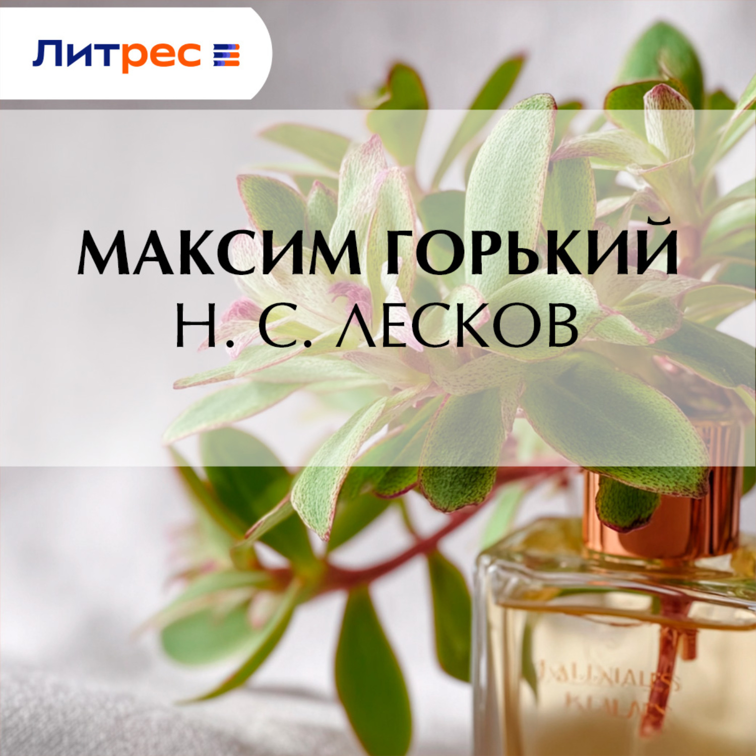 Обложка книги «Н. С. Лесков»