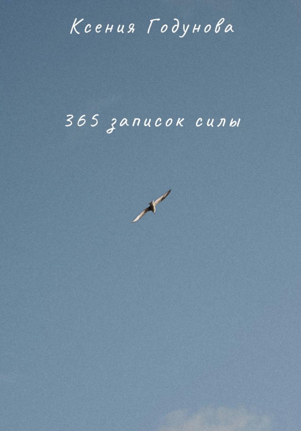 Обложка книги «365 записок силы»