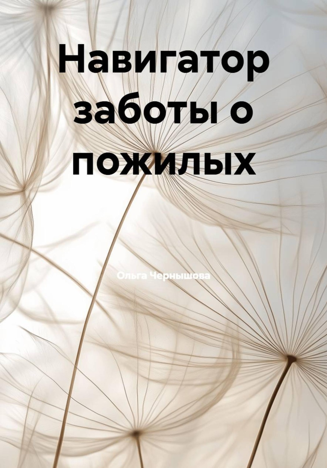 Обложка книги «Навигатор заботы о пожилых»