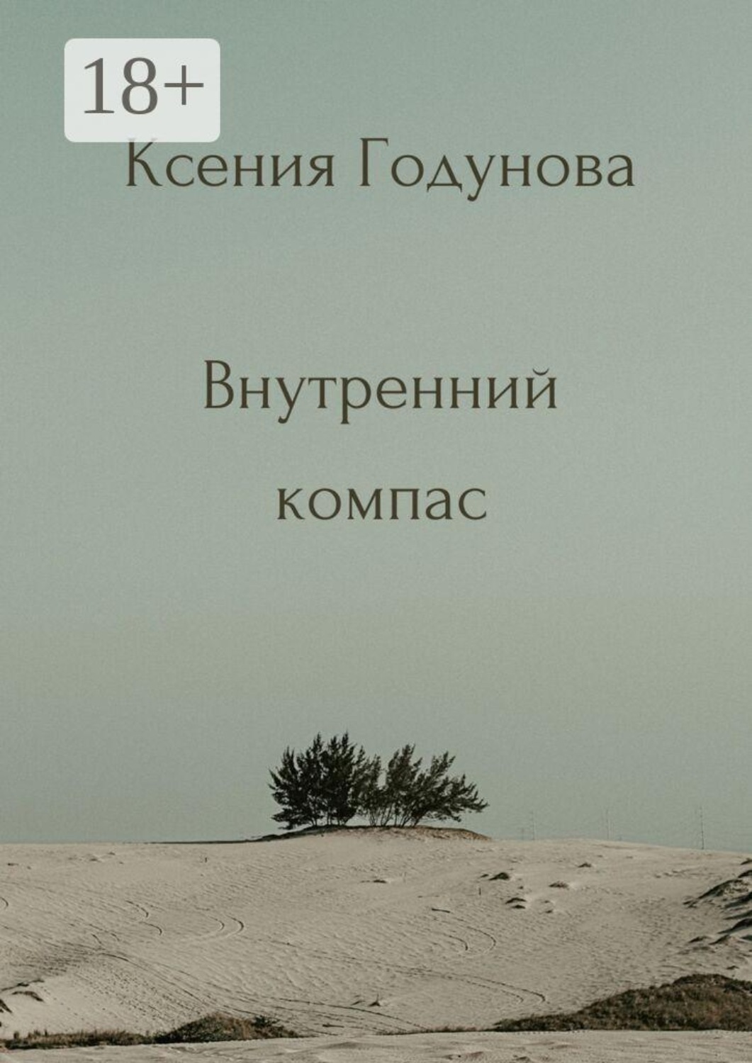 Обложка книги «Внутренний компас»