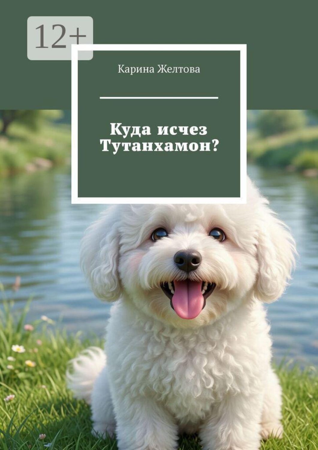 Обложка книги «Куда исчез Тутанхамон?»