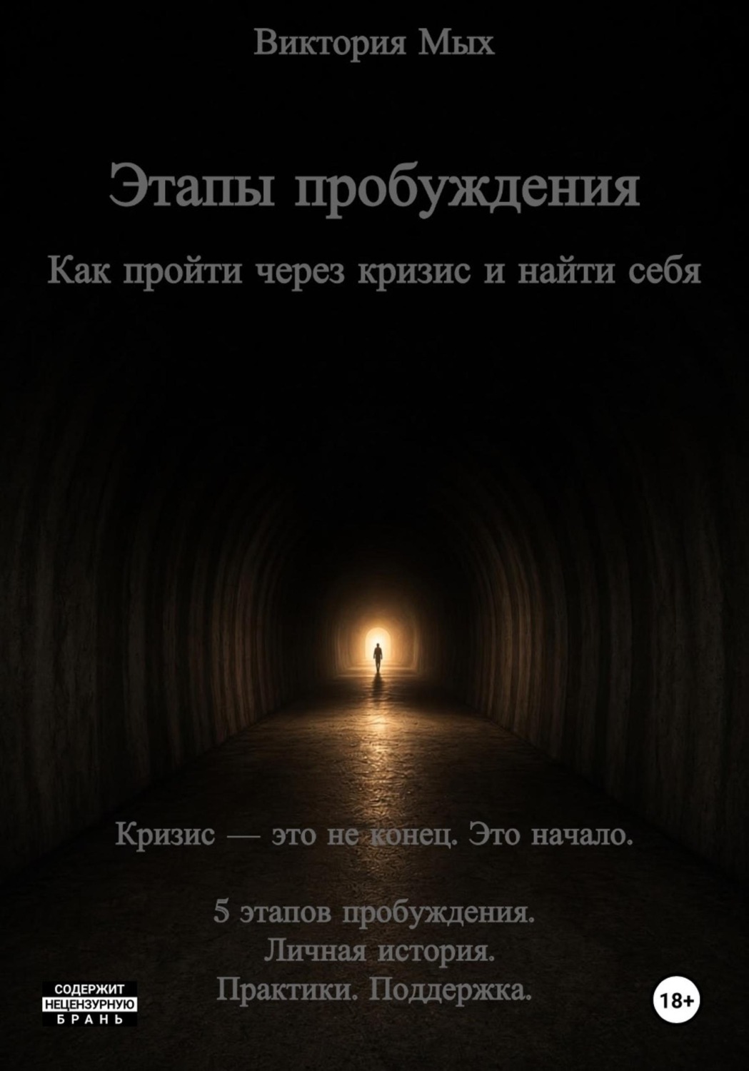 Обложка книги «Этапы пробуждения. Как пройти через кризис и найти себя»