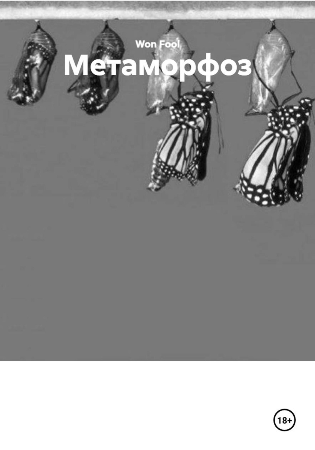 Обложка книги «Метаморфоз»