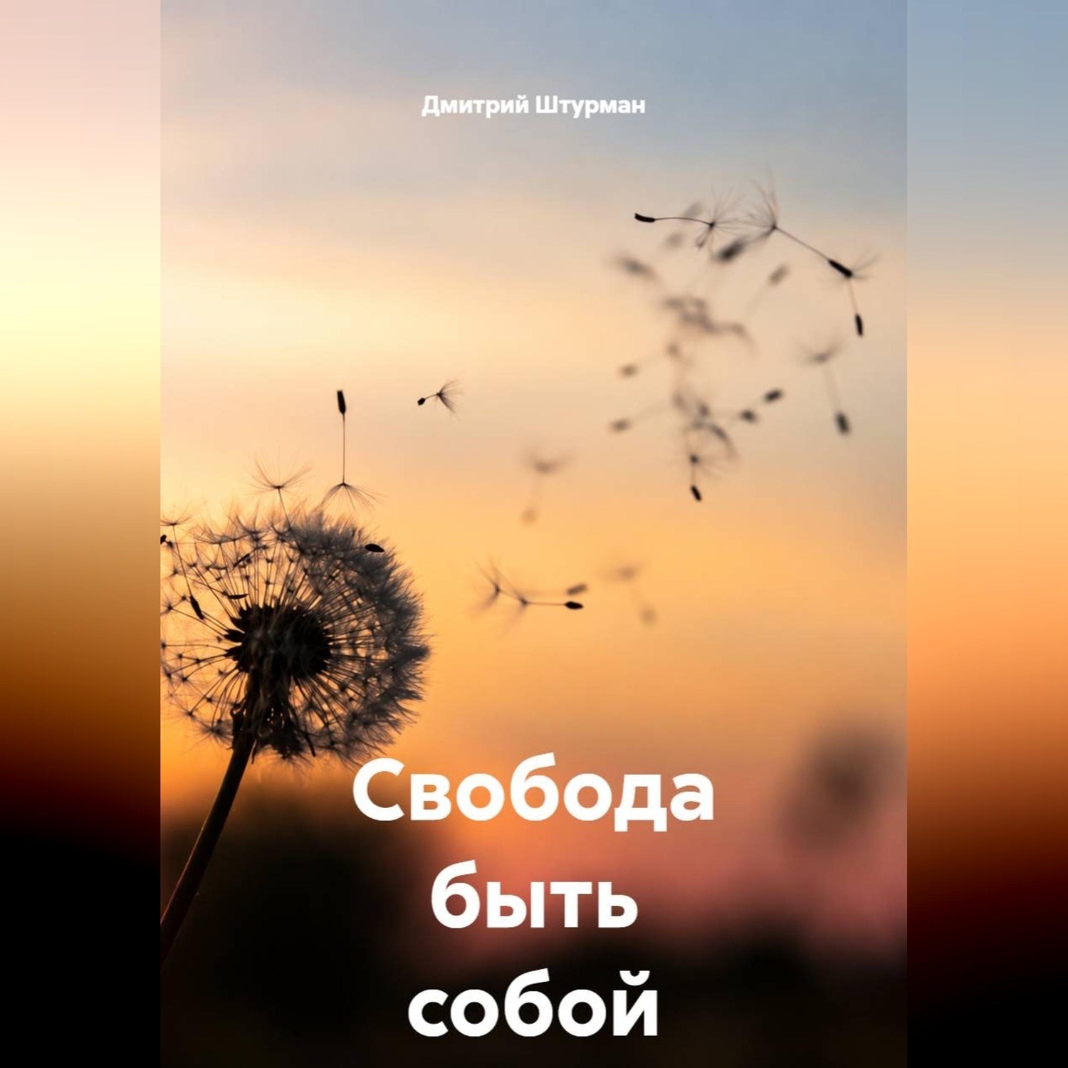 Обложка книги «Свобода быть собой»