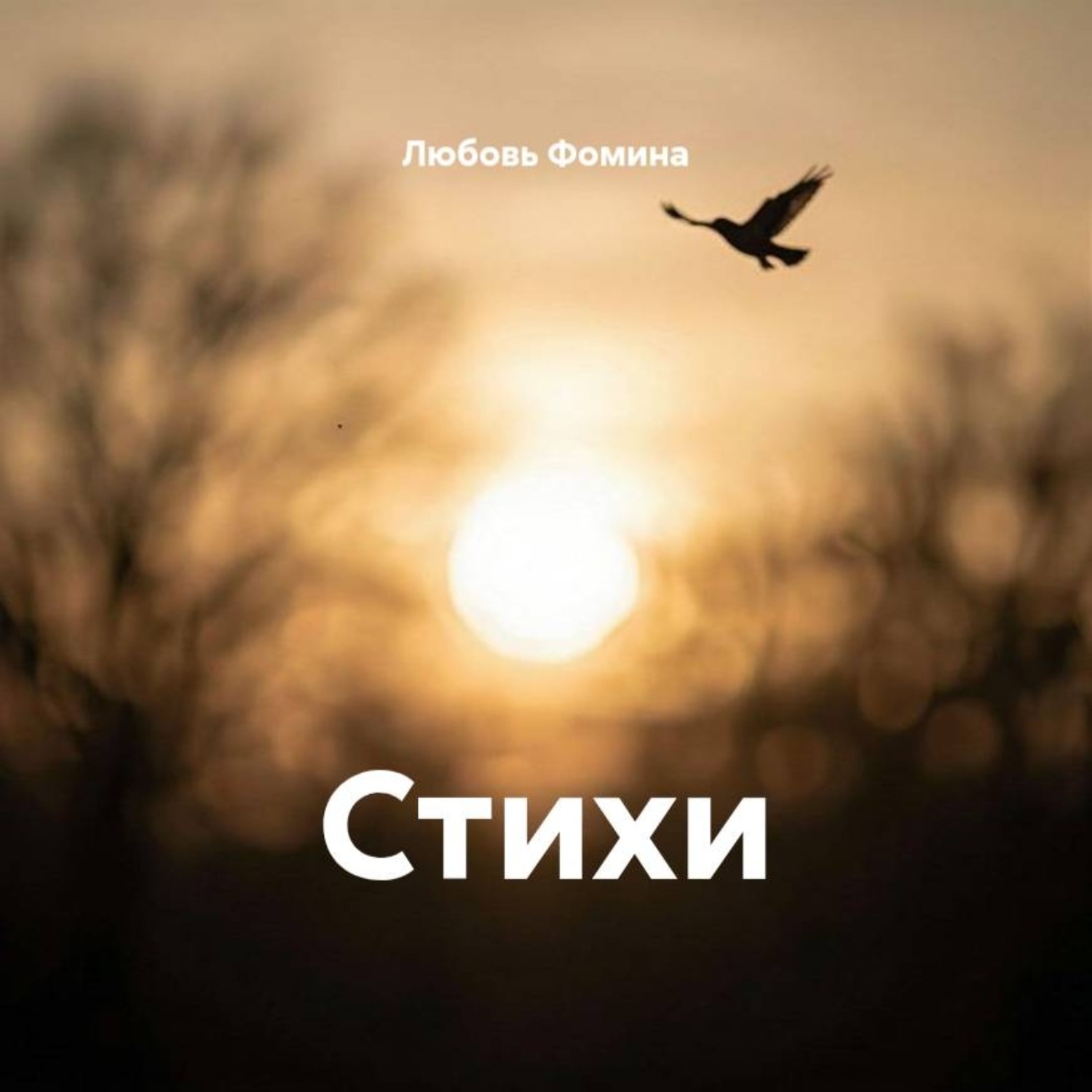 Обложка книги «Стихи»