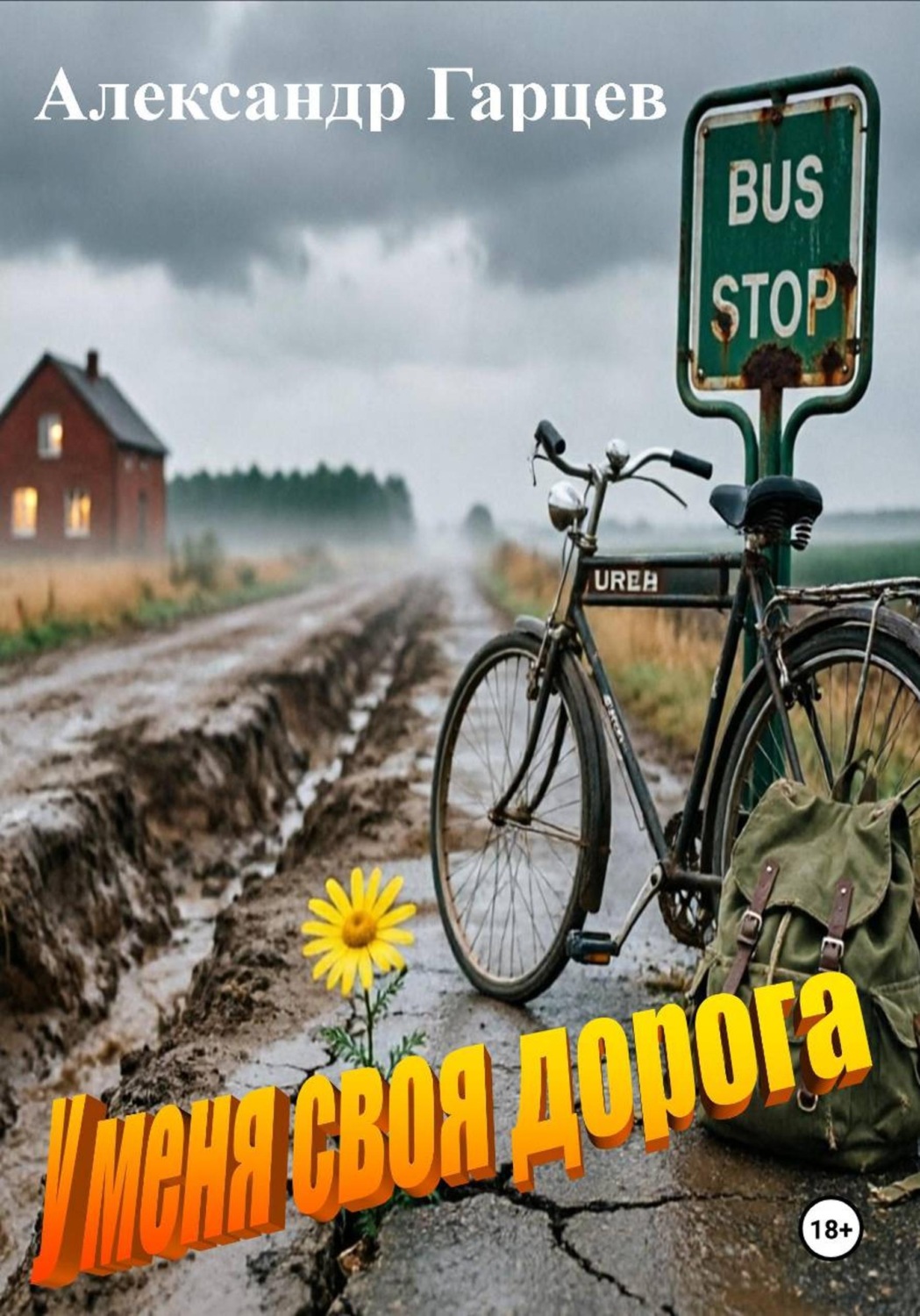 Обложка книги «У меня своя дорога»