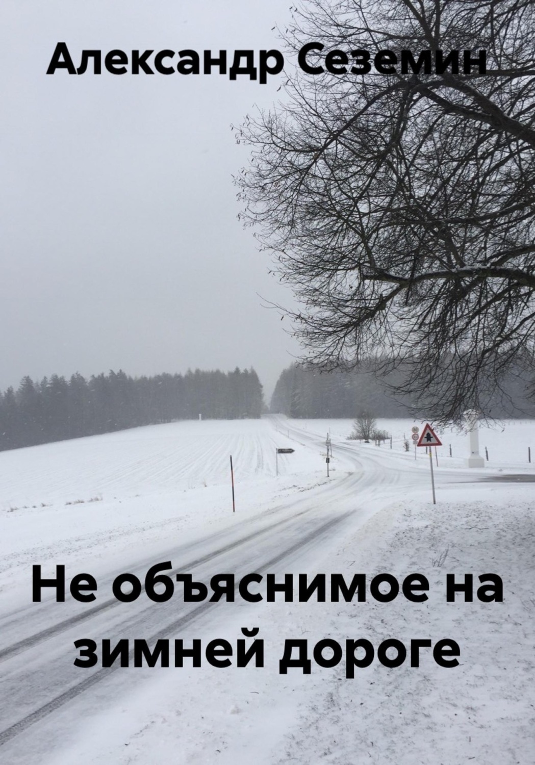 Обложка книги «Не объяснимое на зимней дороге»