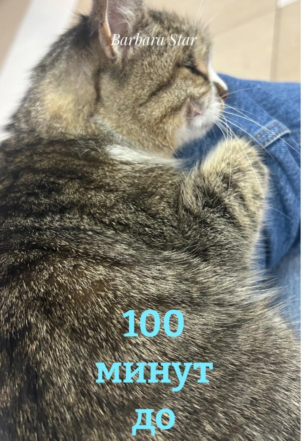 Обложка книги «100 минут до конца»