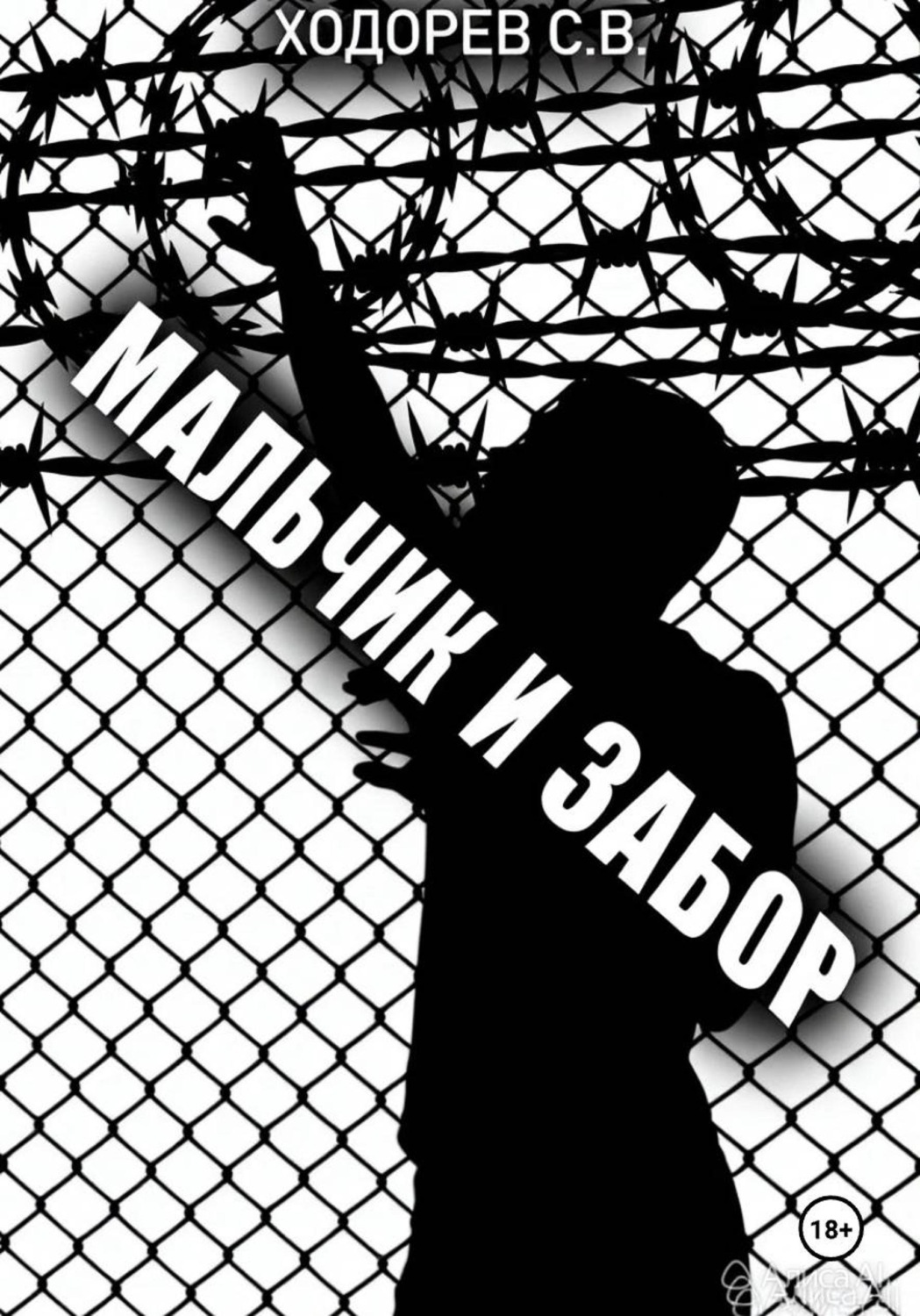 Обложка книги «Мальчи и забор»