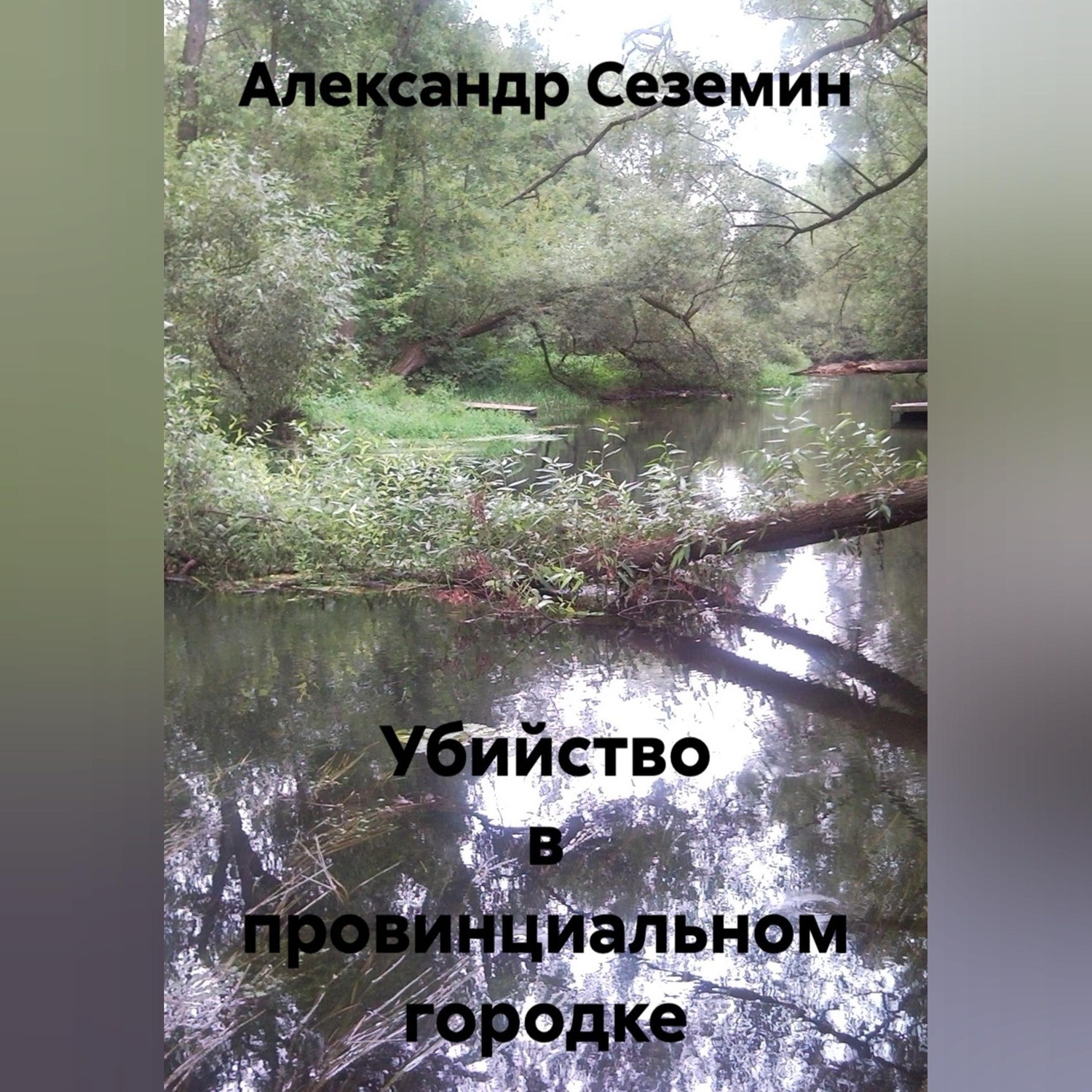Обложка книги «Убийство в провинциальном городке»