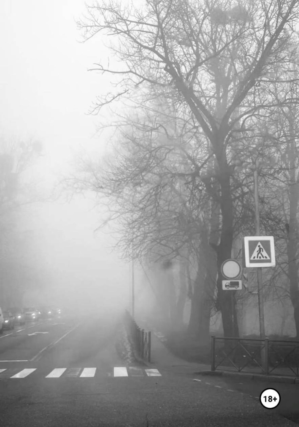 Обложка книги «Окозавшись' в _тумане.»