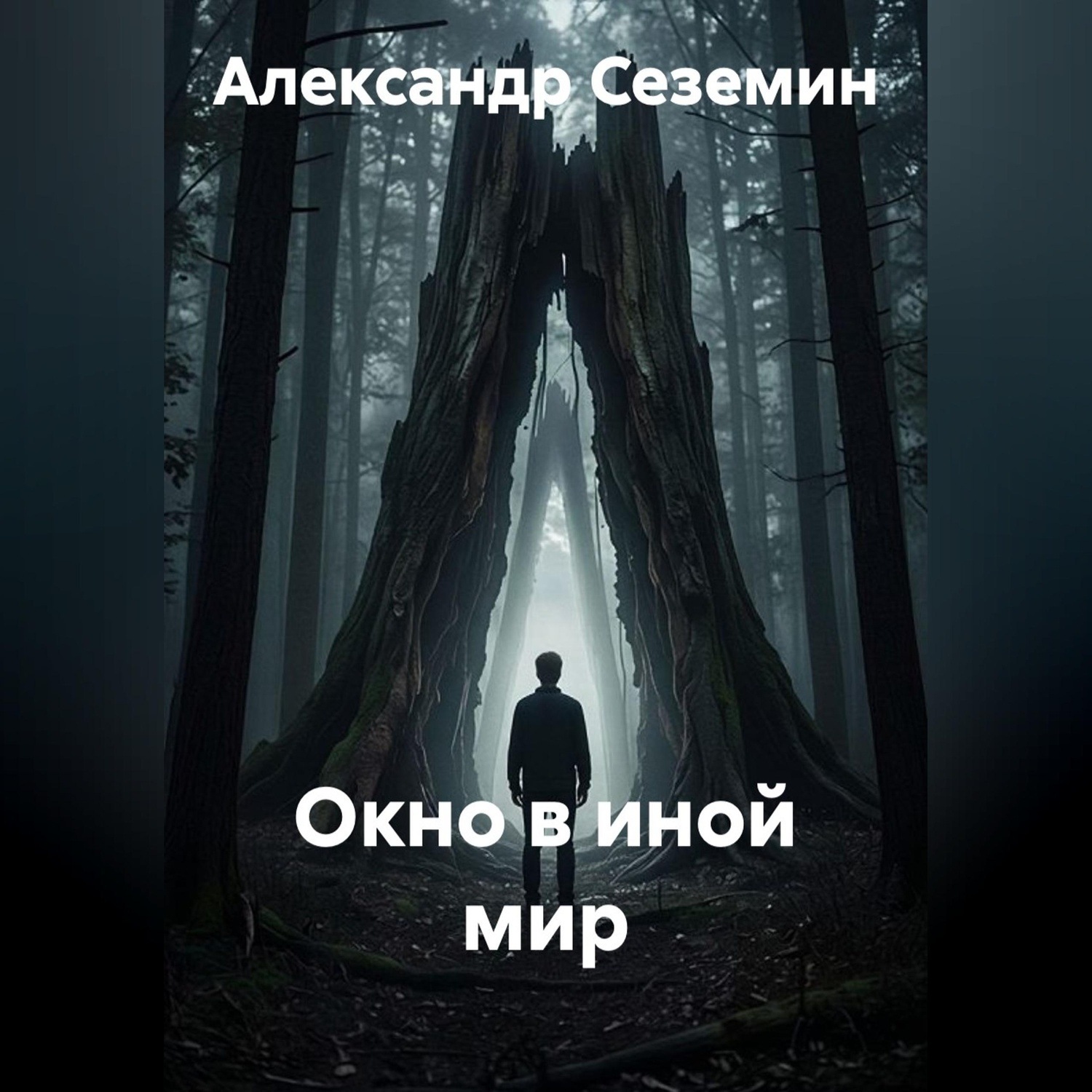 Обложка книги «Окно в иной мир»