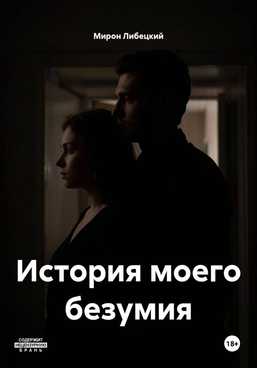 Обложка книги «История моего безумия»