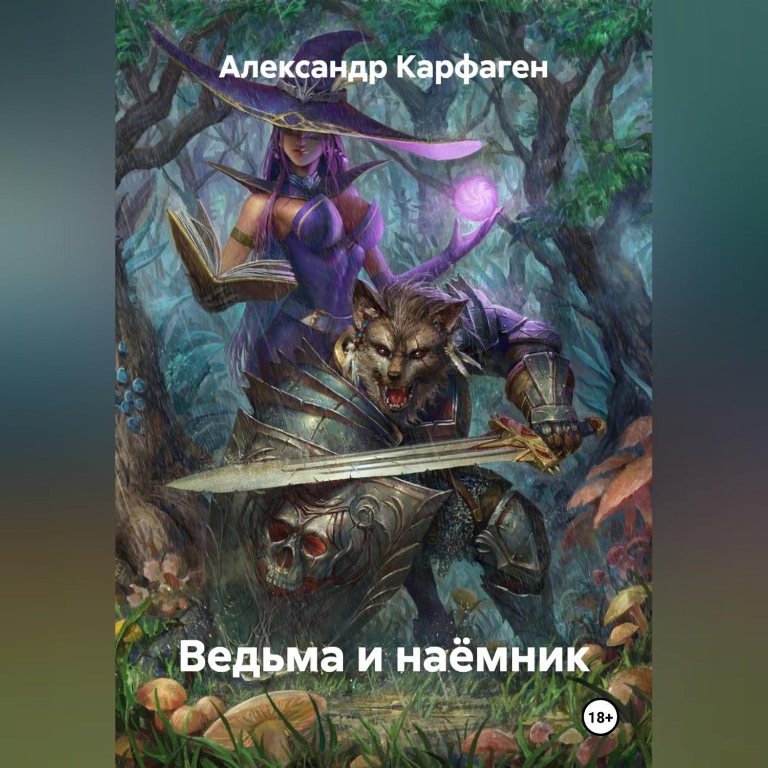 Обложка книги «Ведьма и наёмник»