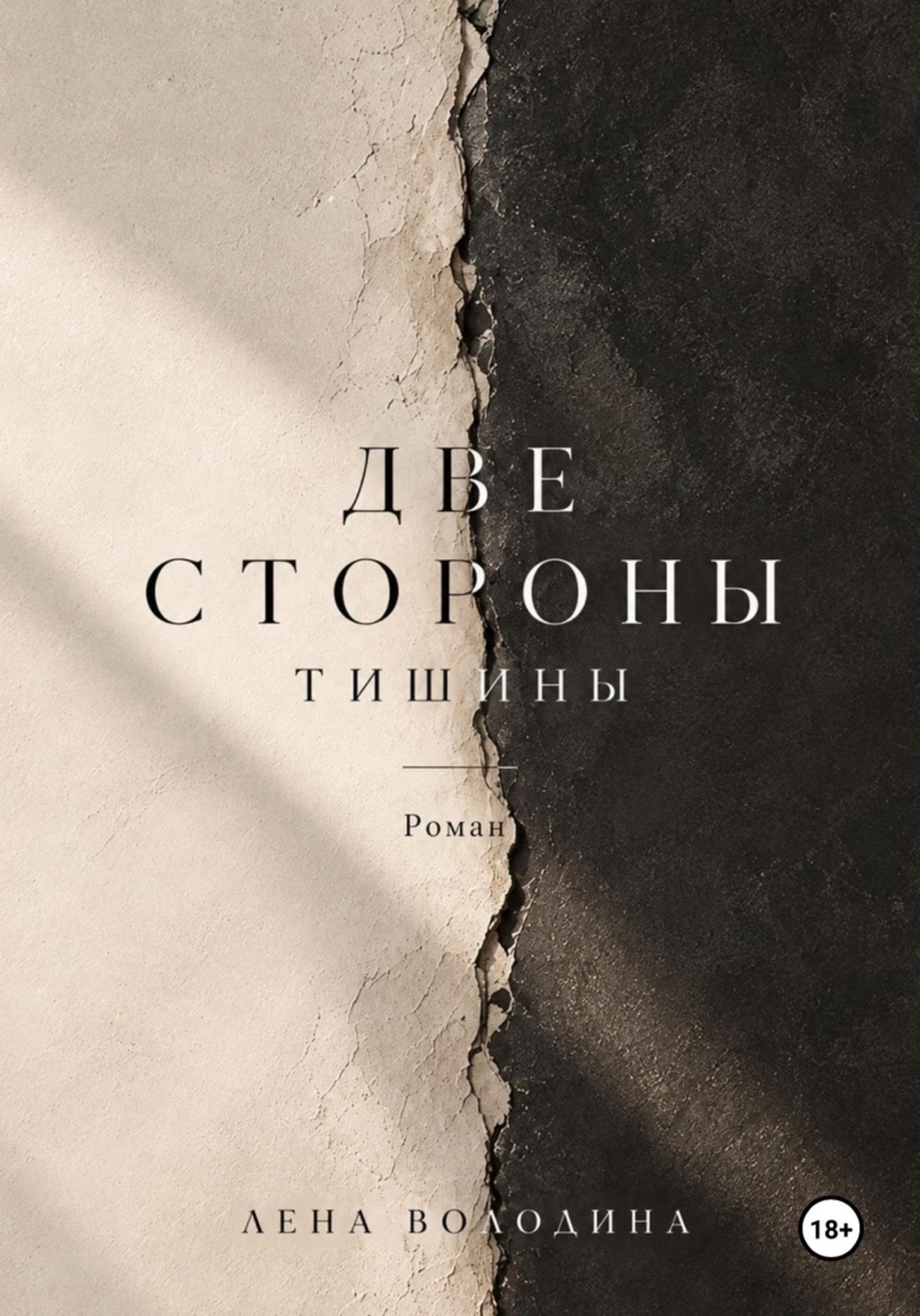 Обложка книги «Две стороны тишины»