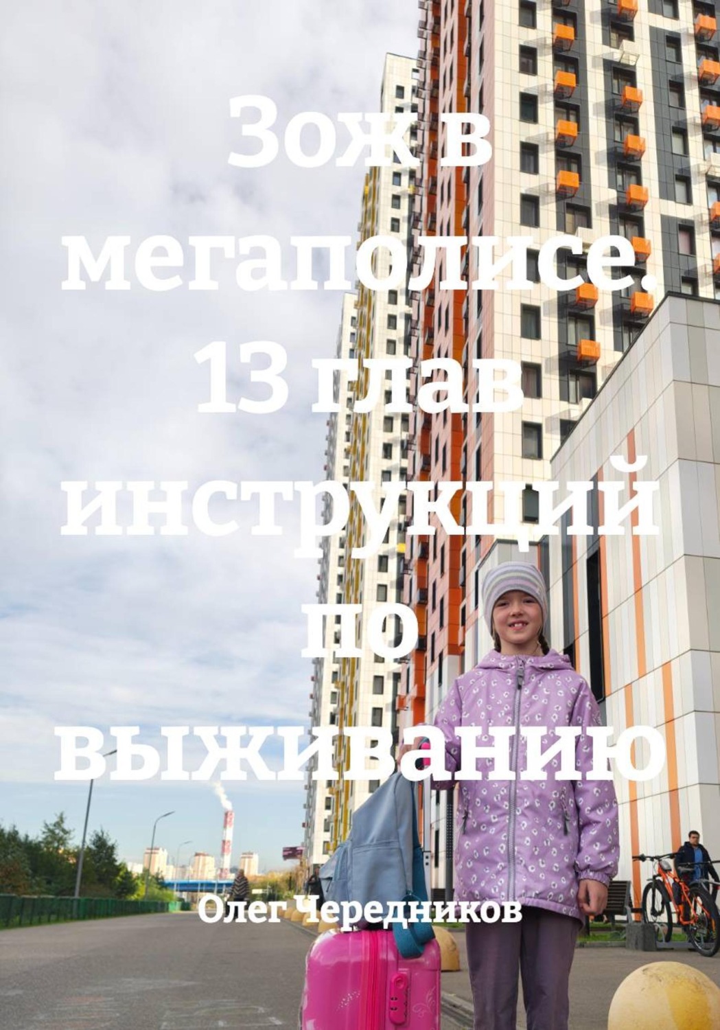 Обложка книги «Зож в мегаполисе. 13 глав инструкций по выживанию»