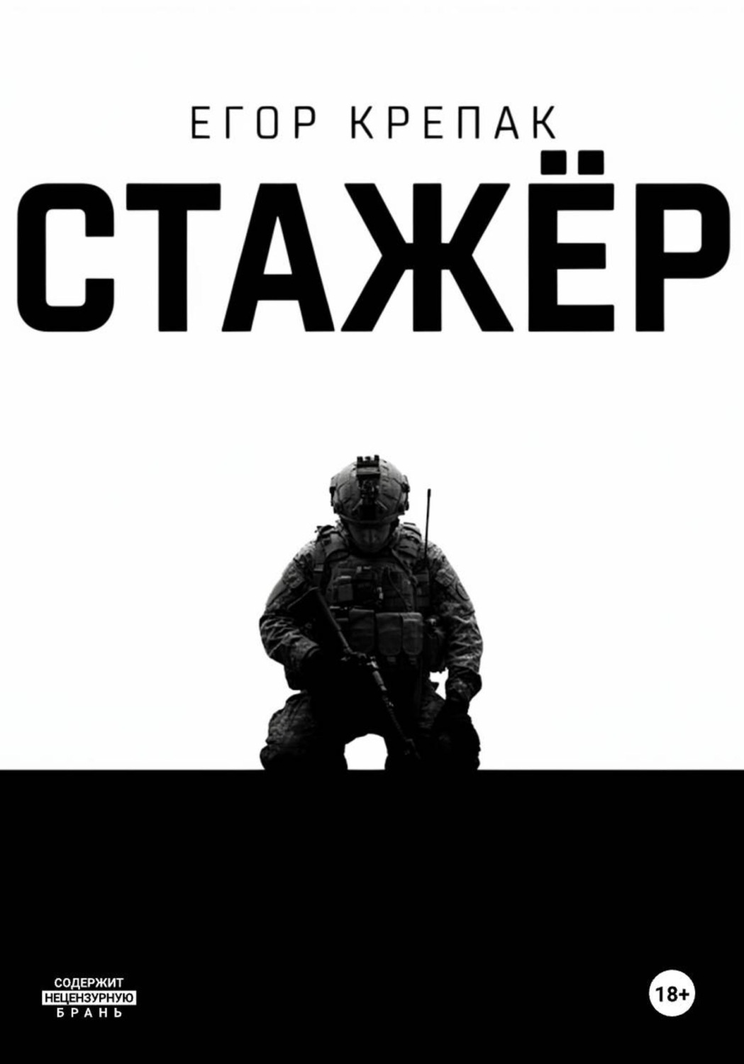Обложка книги «Стажёр»