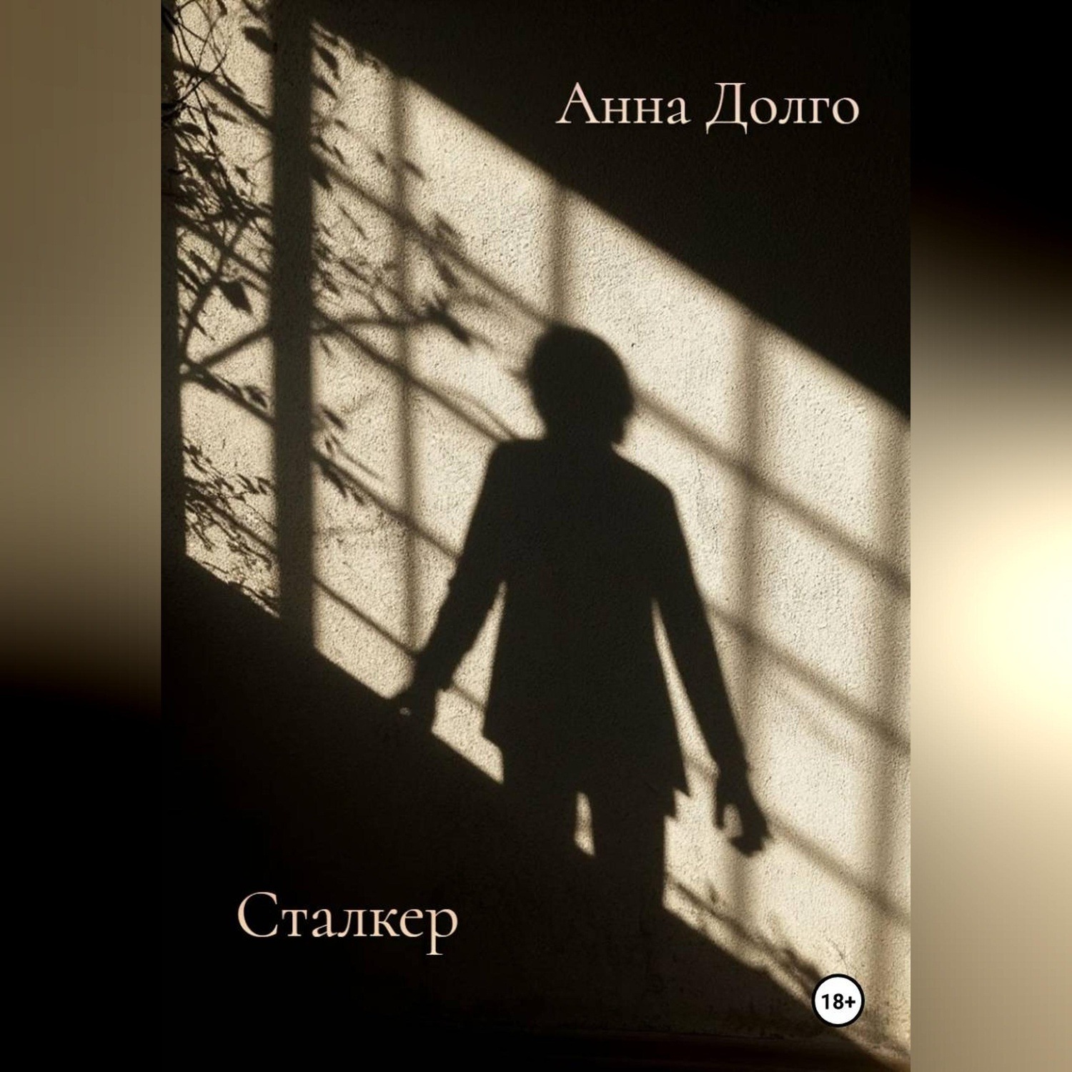 Обложка книги «Сталкер»